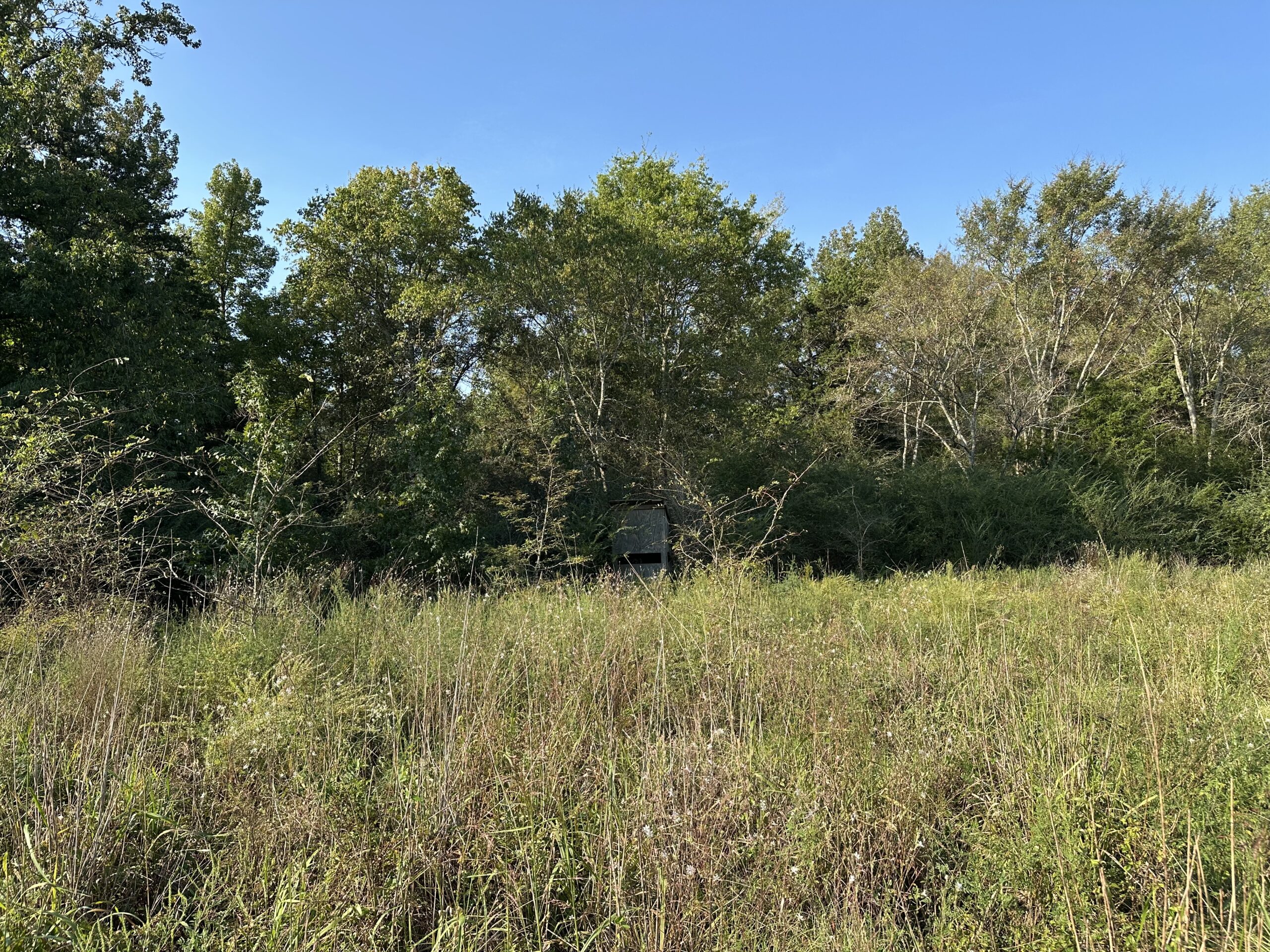 East Texas Hunting/Recreational/Timber Tract For Sale