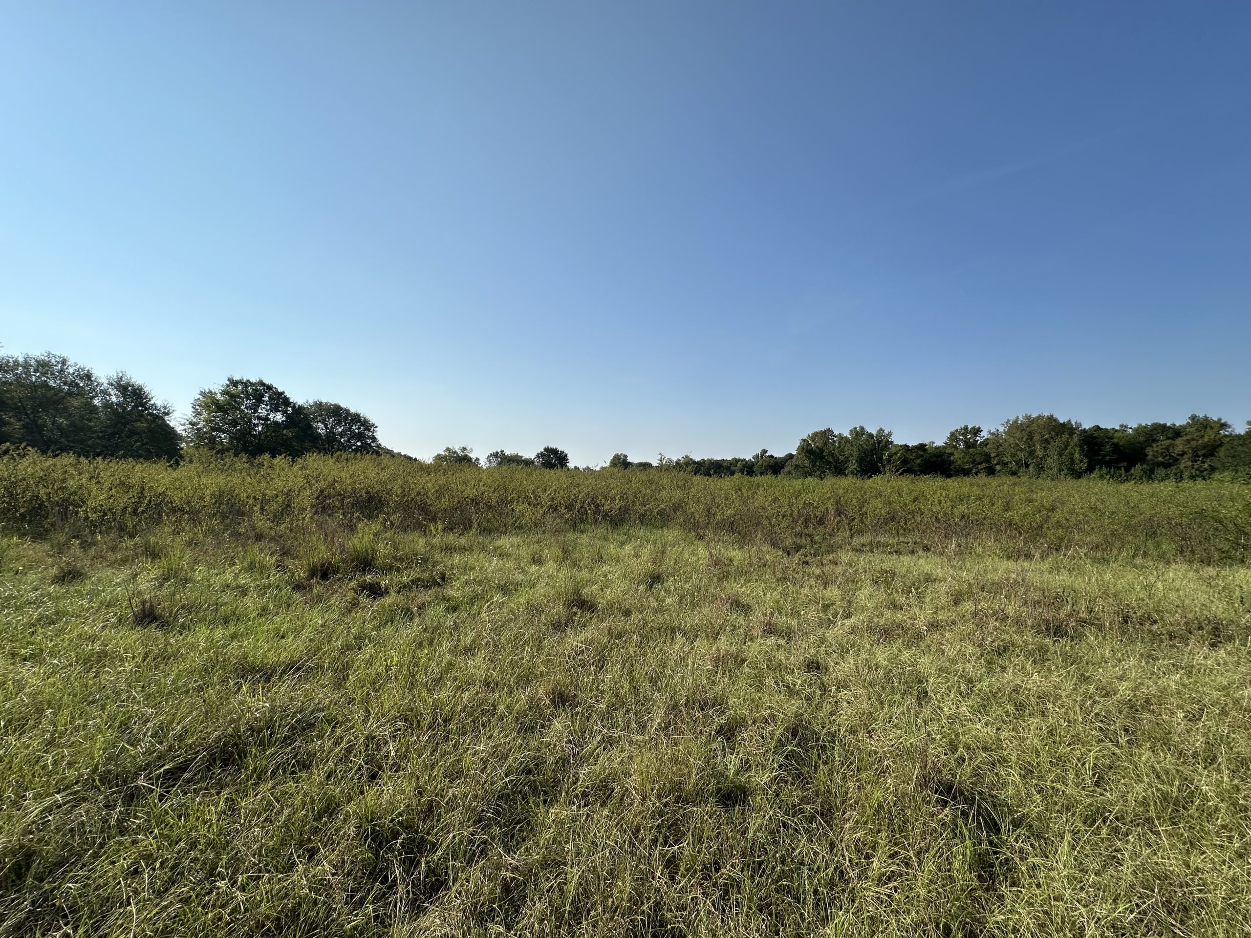 East Texas Hunting/Recreational/Timber Tract For Sale