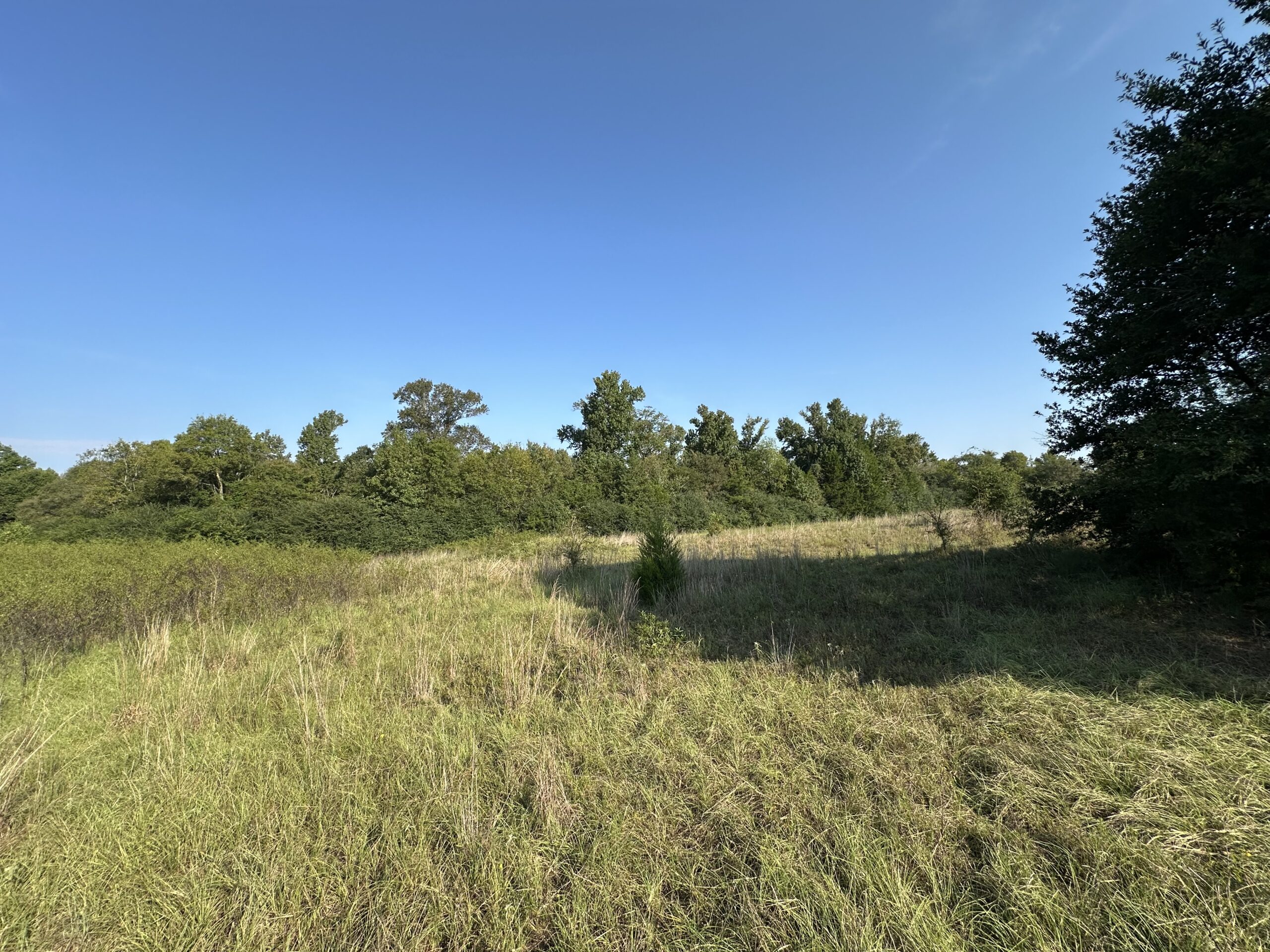 East Texas Hunting/Recreational/Timber Tract For Sale