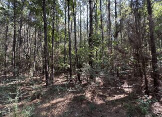 East Texas Hunting/Recreational/Timber Tract For Sale
