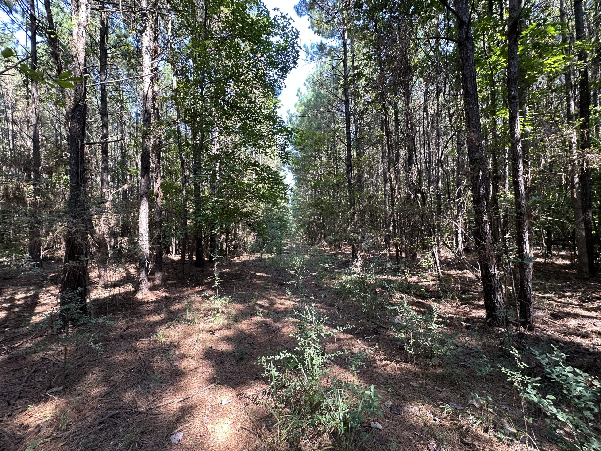 East Texas Hunting/Recreational/Timber Tract For Sale