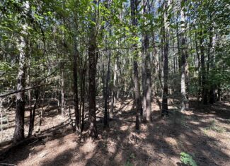 East Texas Hunting/Recreational/Timber Tract For Sale