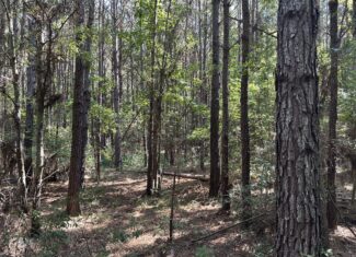 East Texas Hunting/Recreational/Timber Tract For Sale