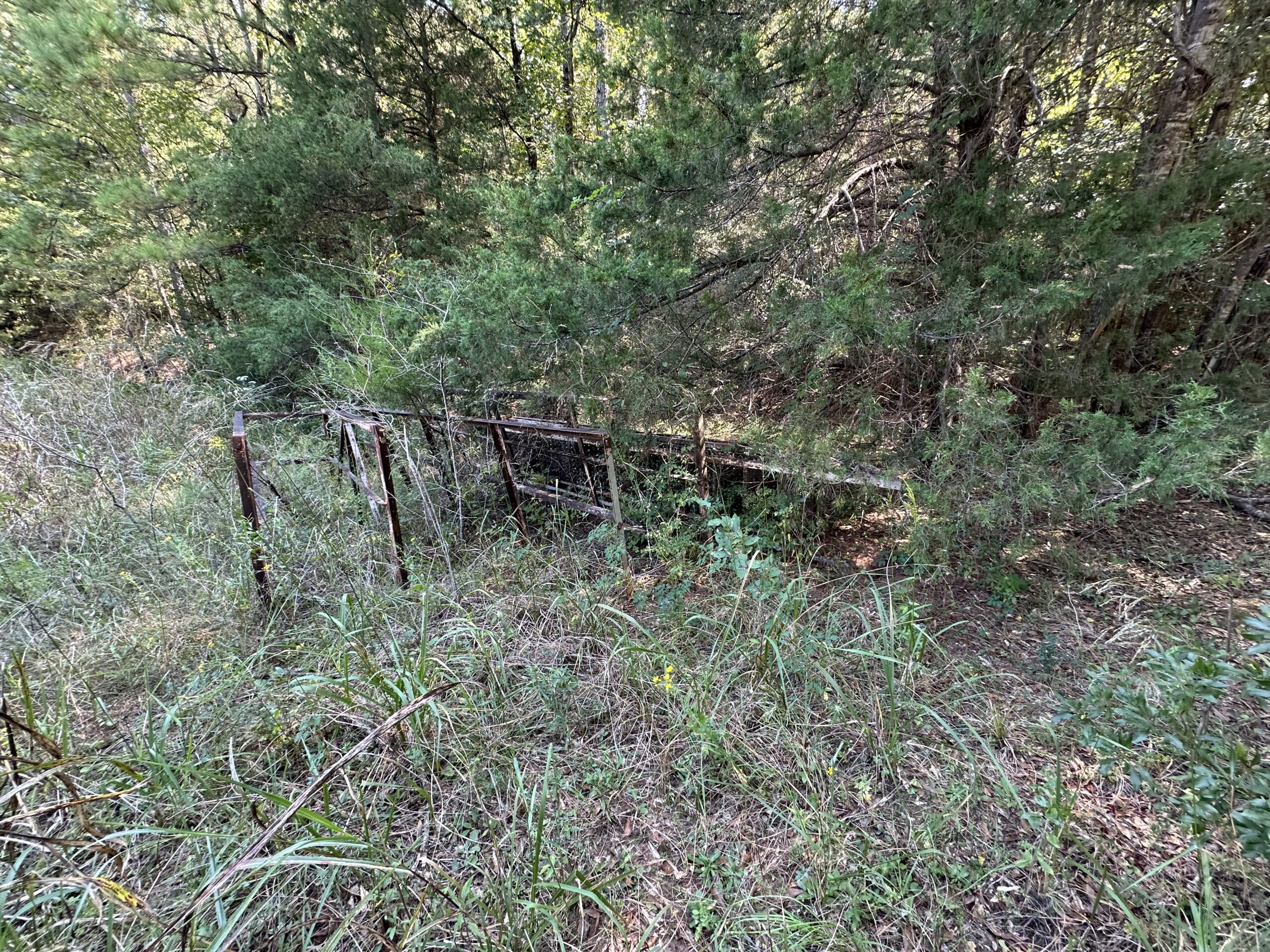 East Texas Hunting/Recreational/Timber Tract For Sale