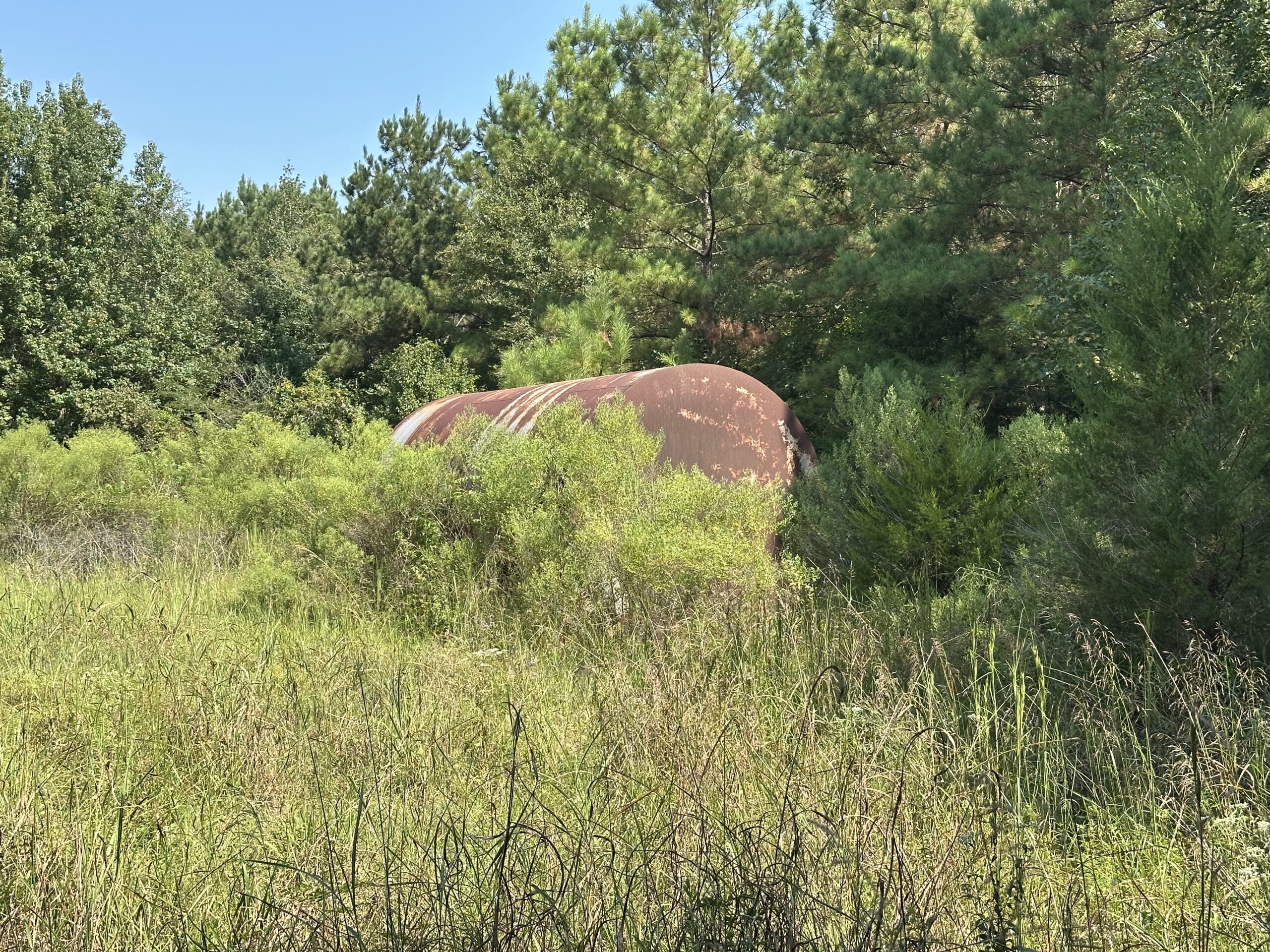 East Texas Hunting/Recreational/Timber Tract For Sale