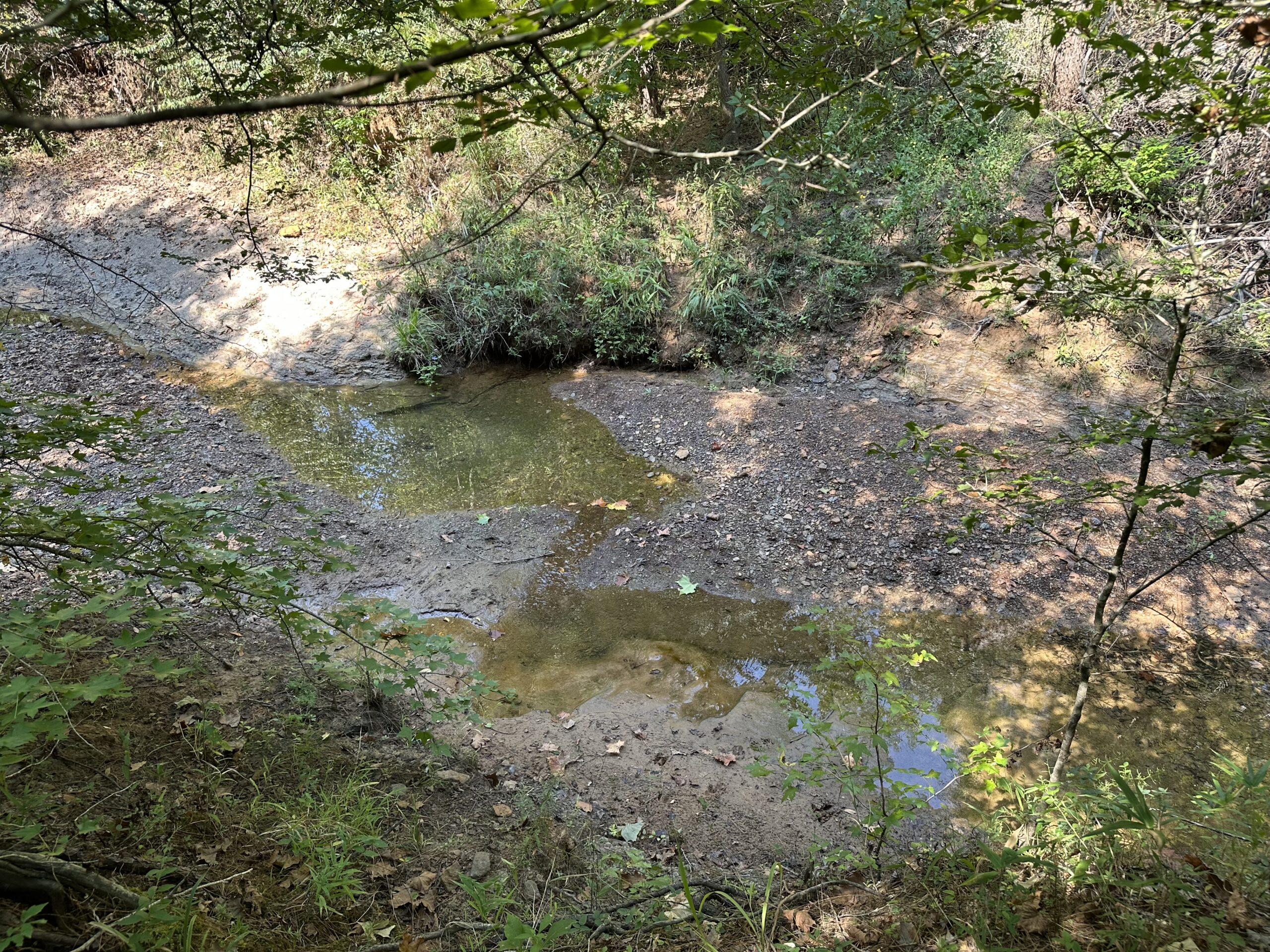 East Texas Hunting/Recreational/Timber Tract For Sale