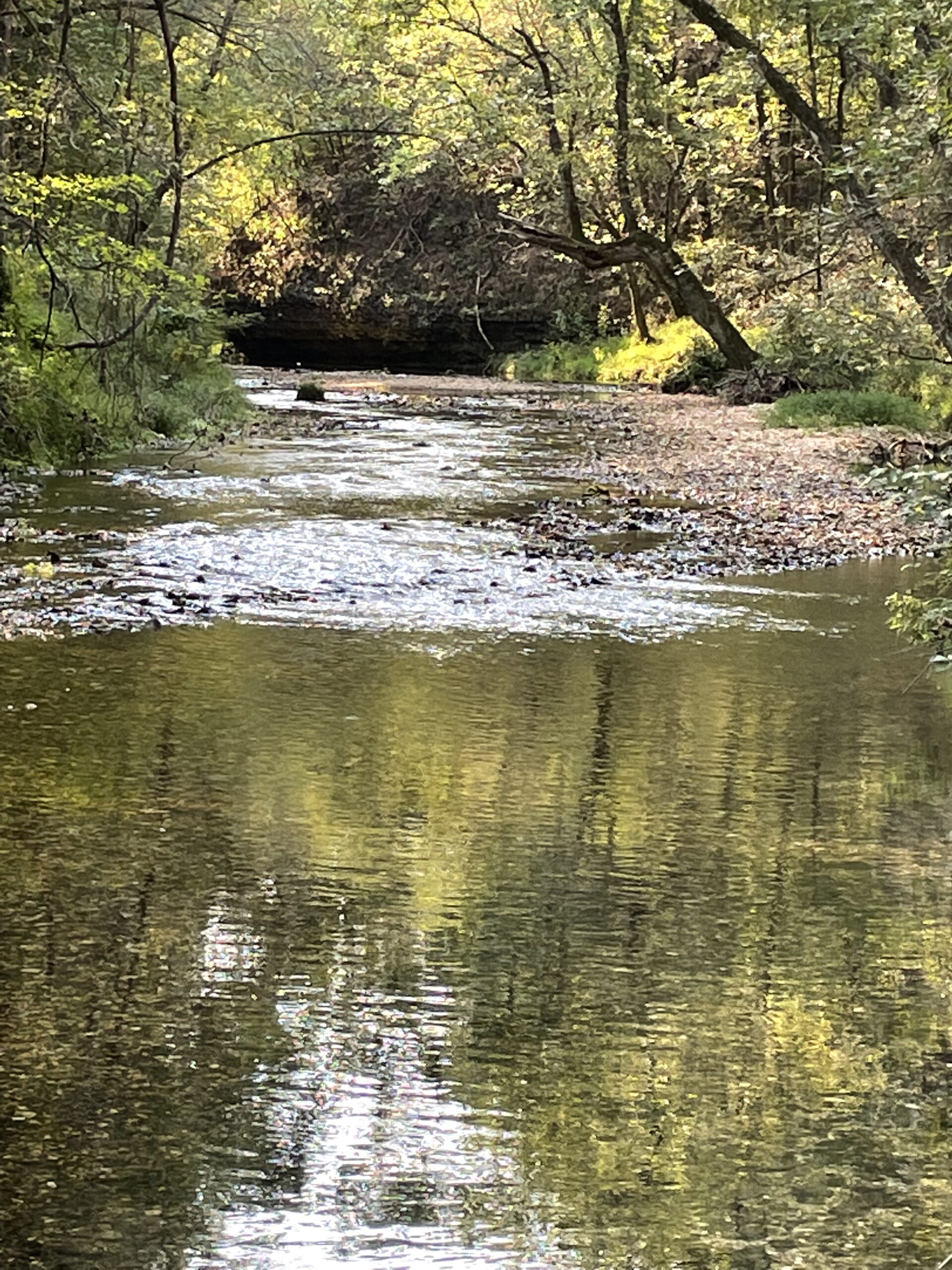 Legacy Northwest Arkansas Acreage For Sale