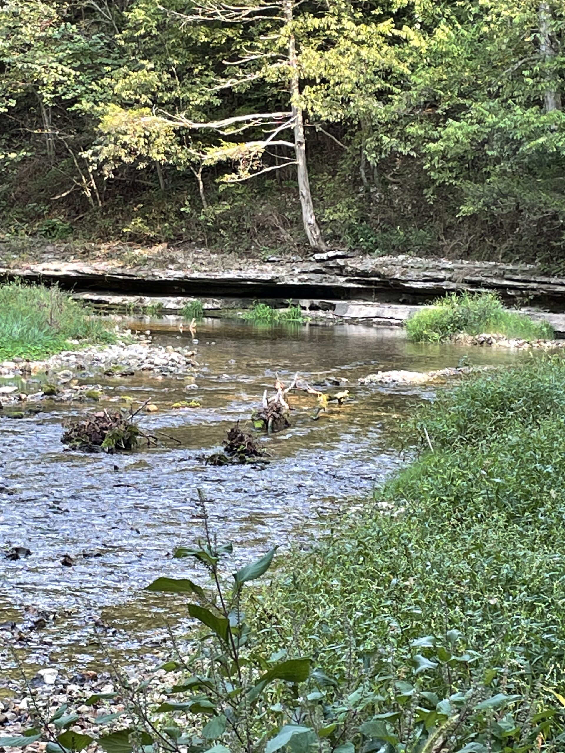 Legacy Northwest Arkansas Acreage For Sale