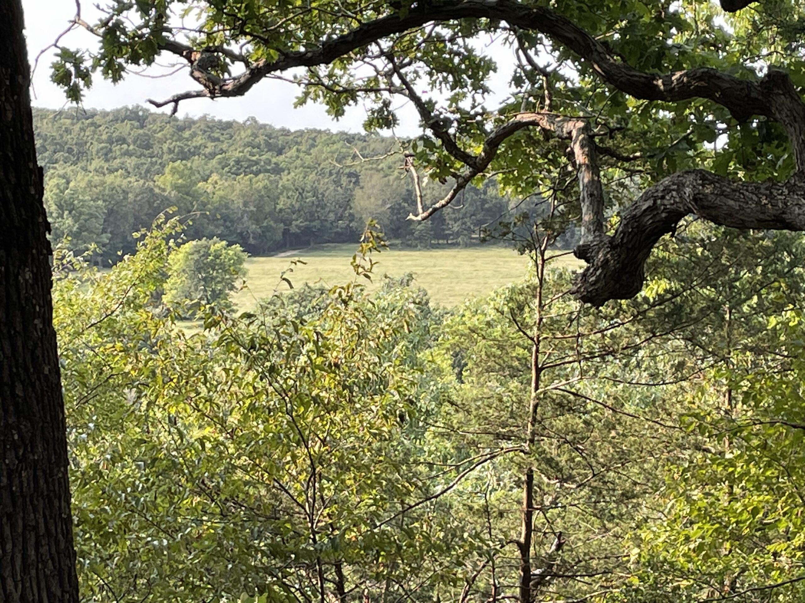 Legacy Northwest Arkansas Acreage For Sale
