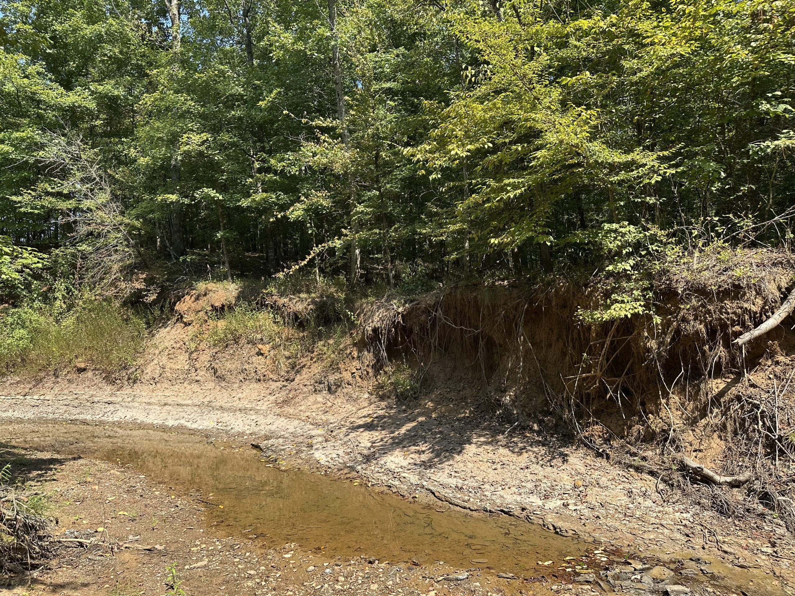 East Texas Hunting/Recreational/Timber Tract For Sale
