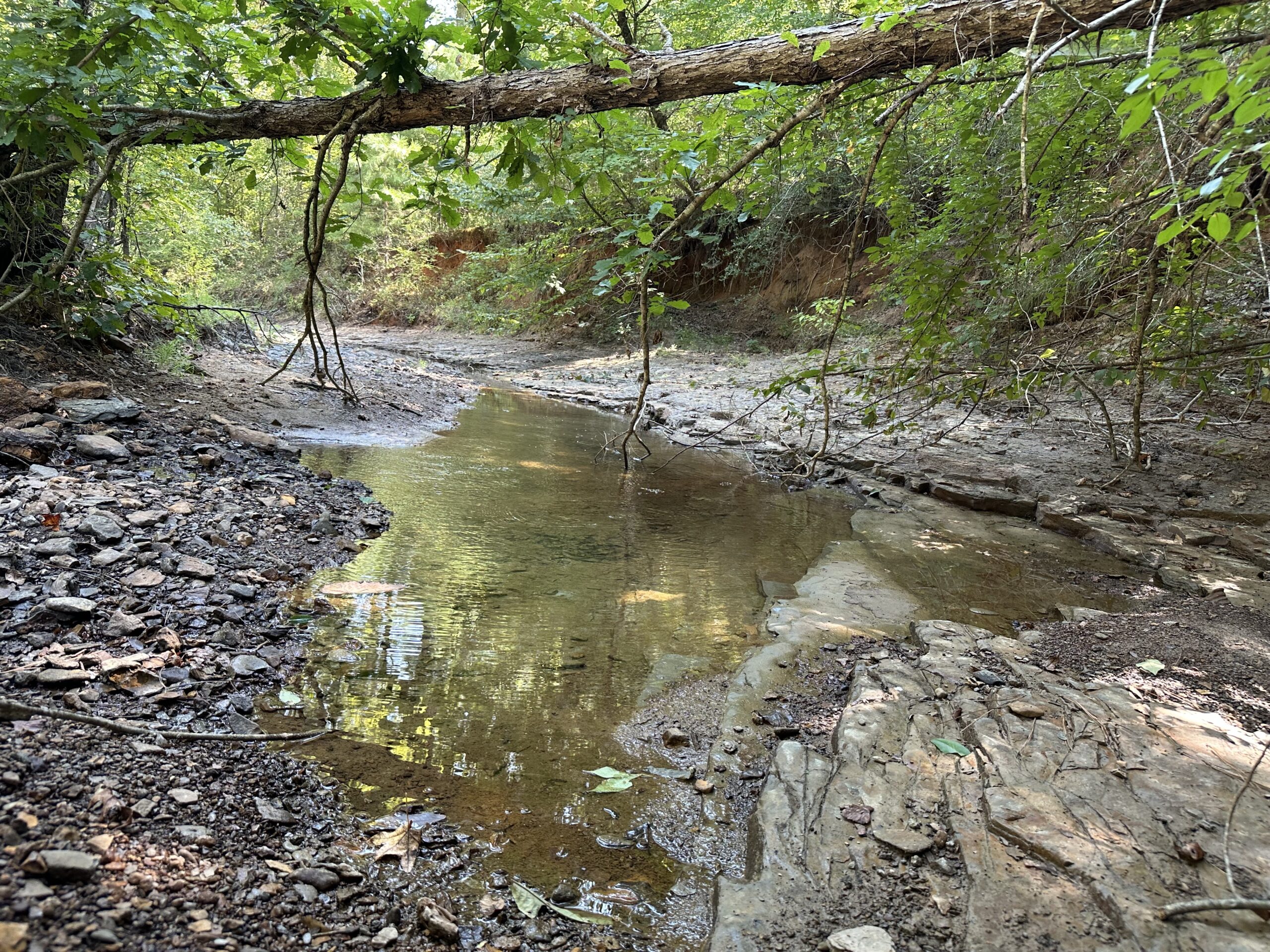 East Texas Hunting/Recreational/Timber Tract For Sale