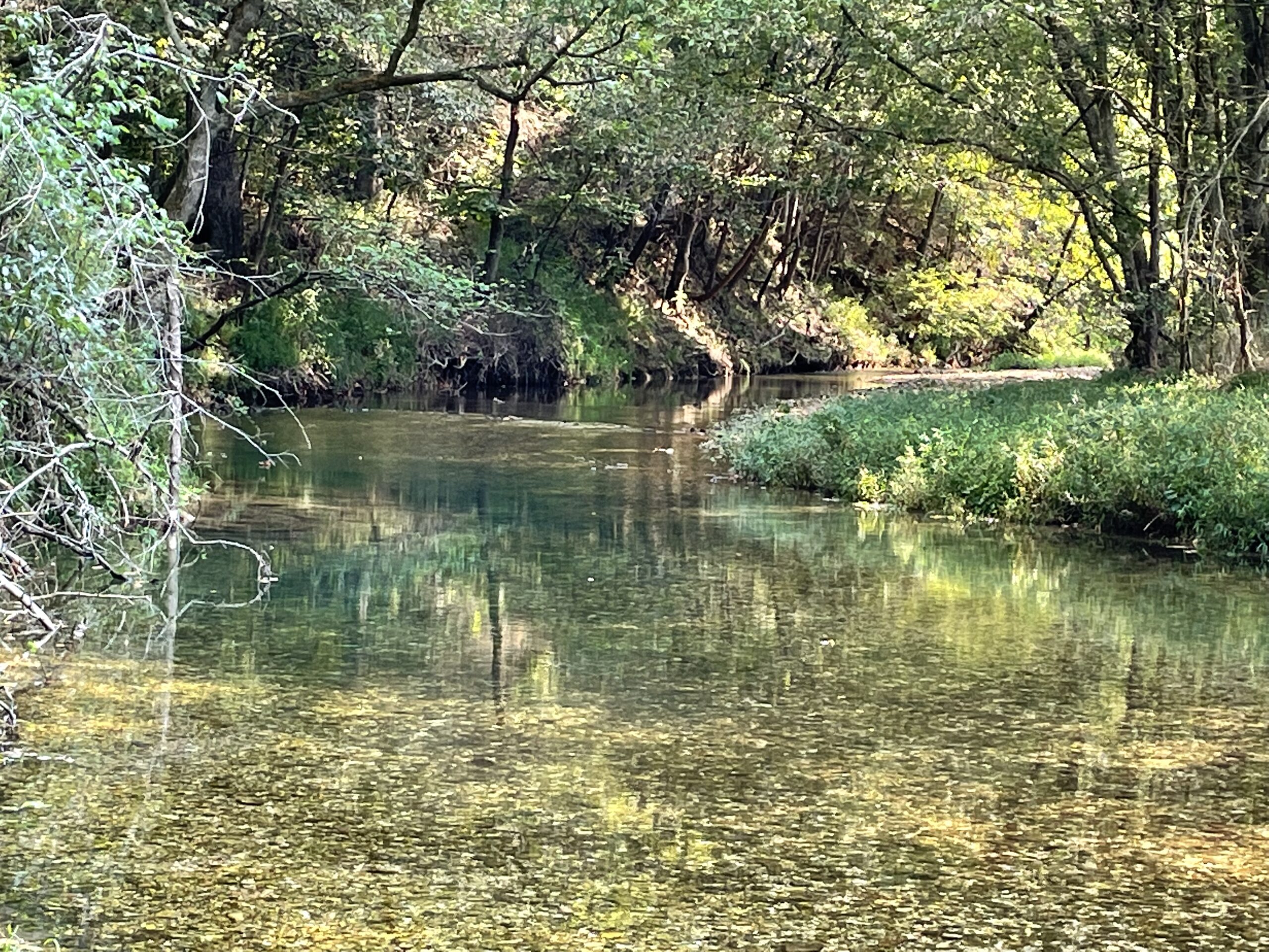 Legacy Northwest Arkansas Acreage For Sale