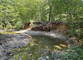 East Texas Hunting/Recreational/Timber Tract For Sale