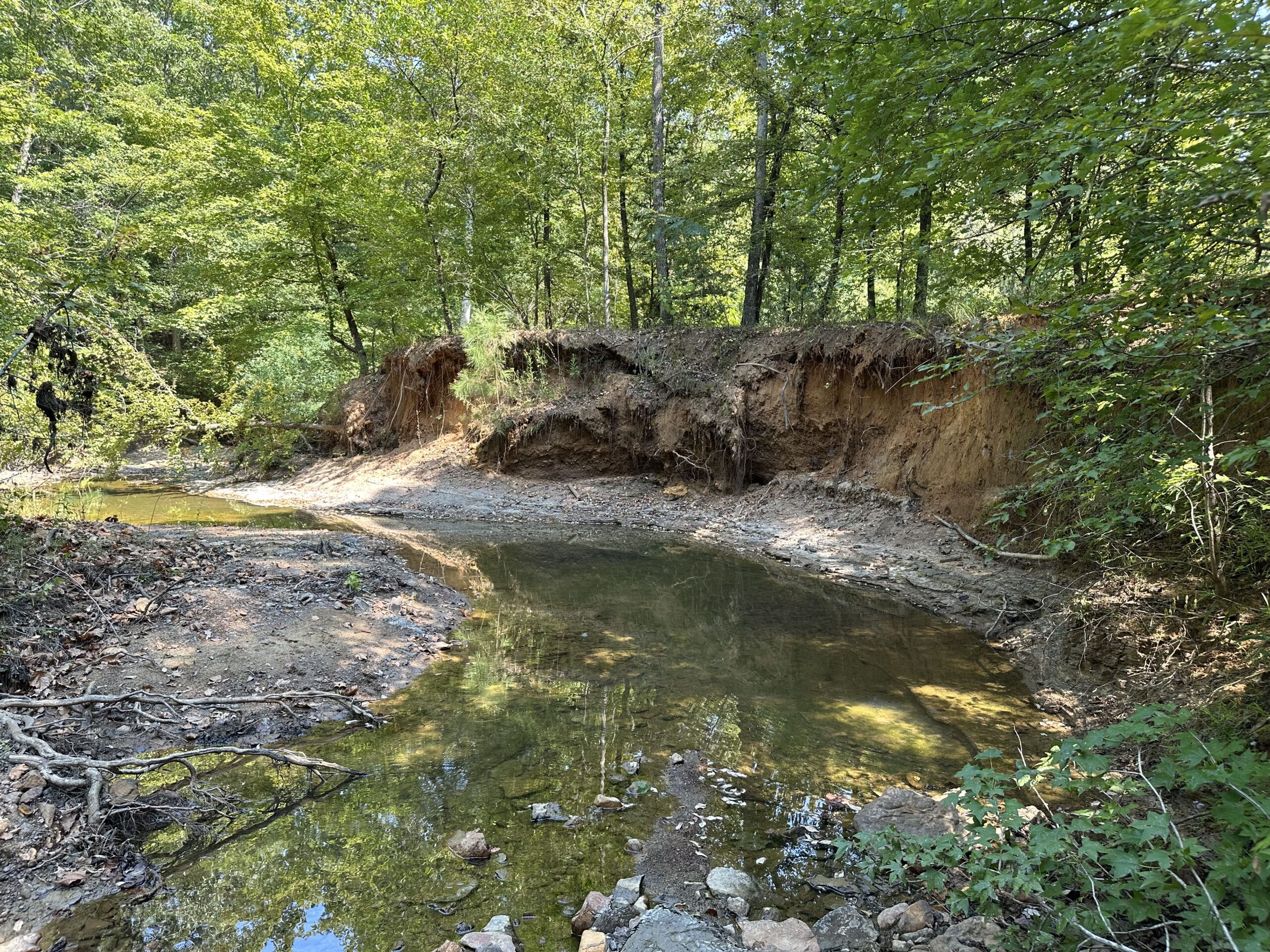 East Texas Hunting/Recreational/Timber Tract For Sale