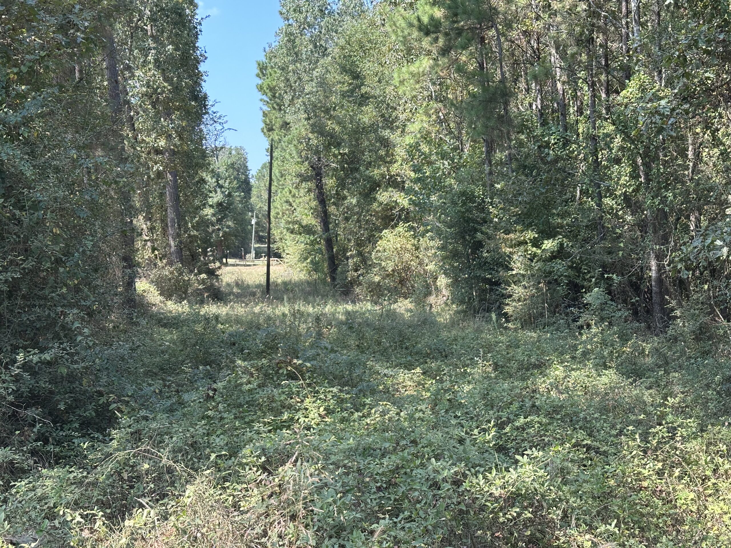 East Texas Hunting/Recreational/Timber Tract For Sale
