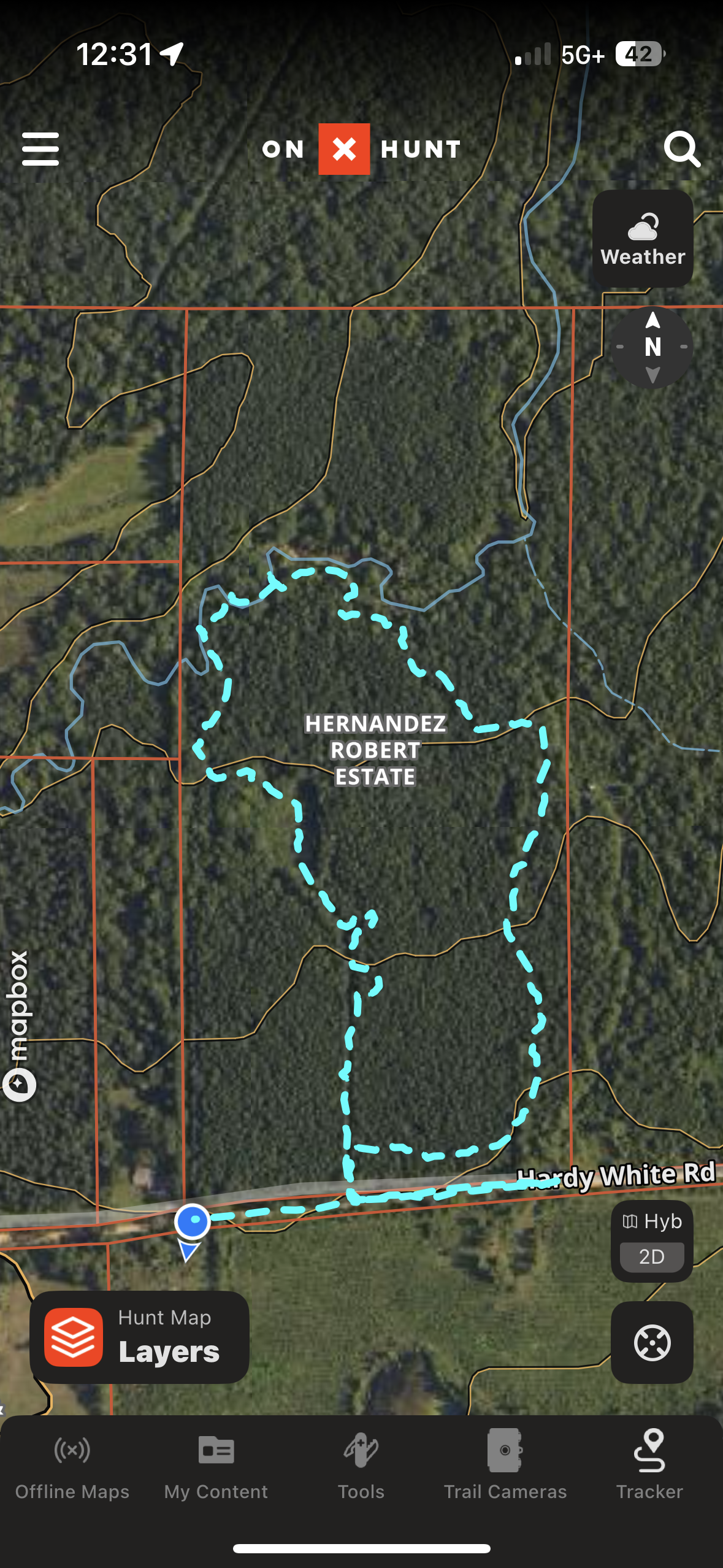 East Texas Hunting/Recreational/Timber Tract For Sale
