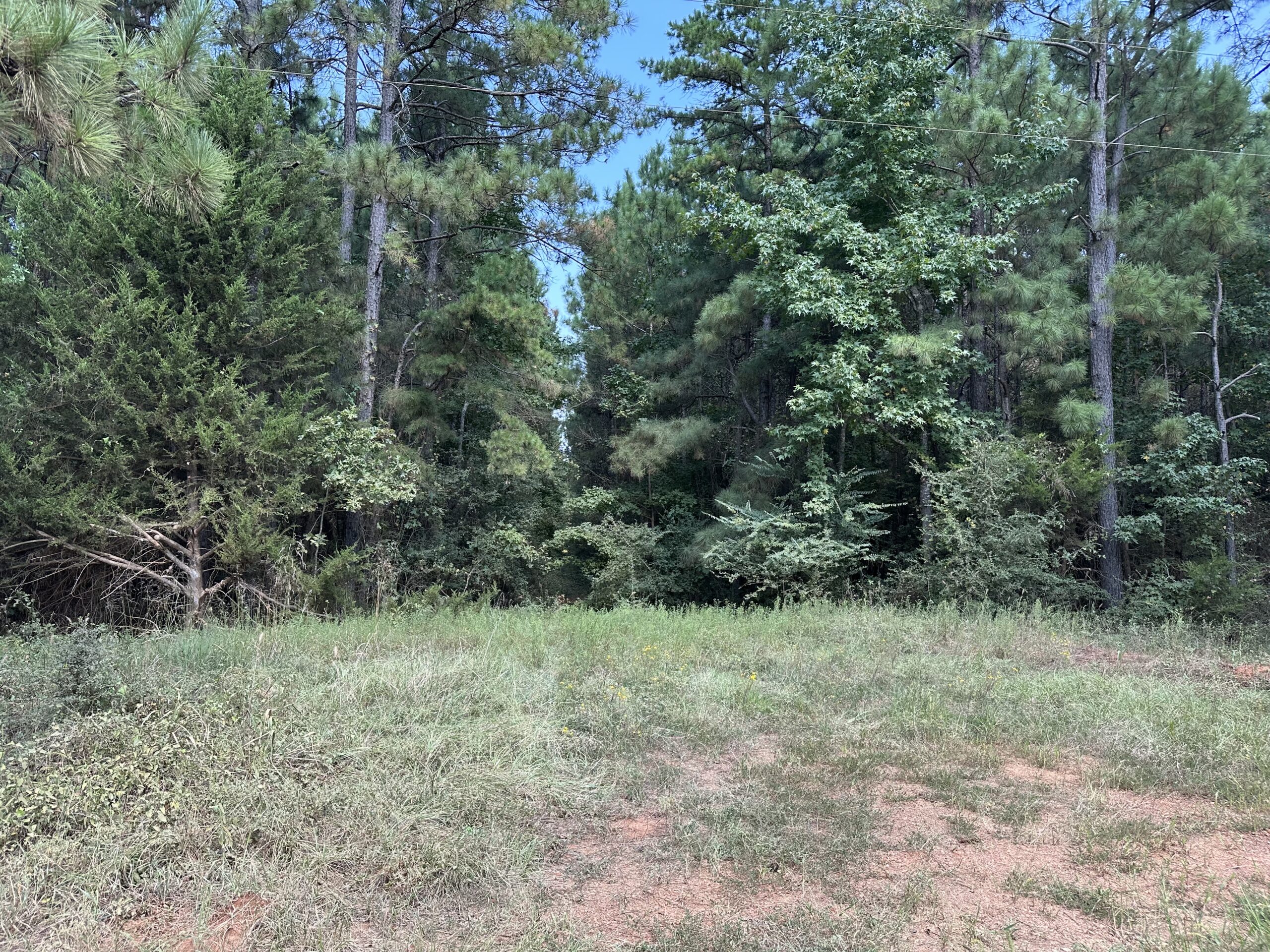 East Texas Hunting/Recreational/Timber Tract For Sale