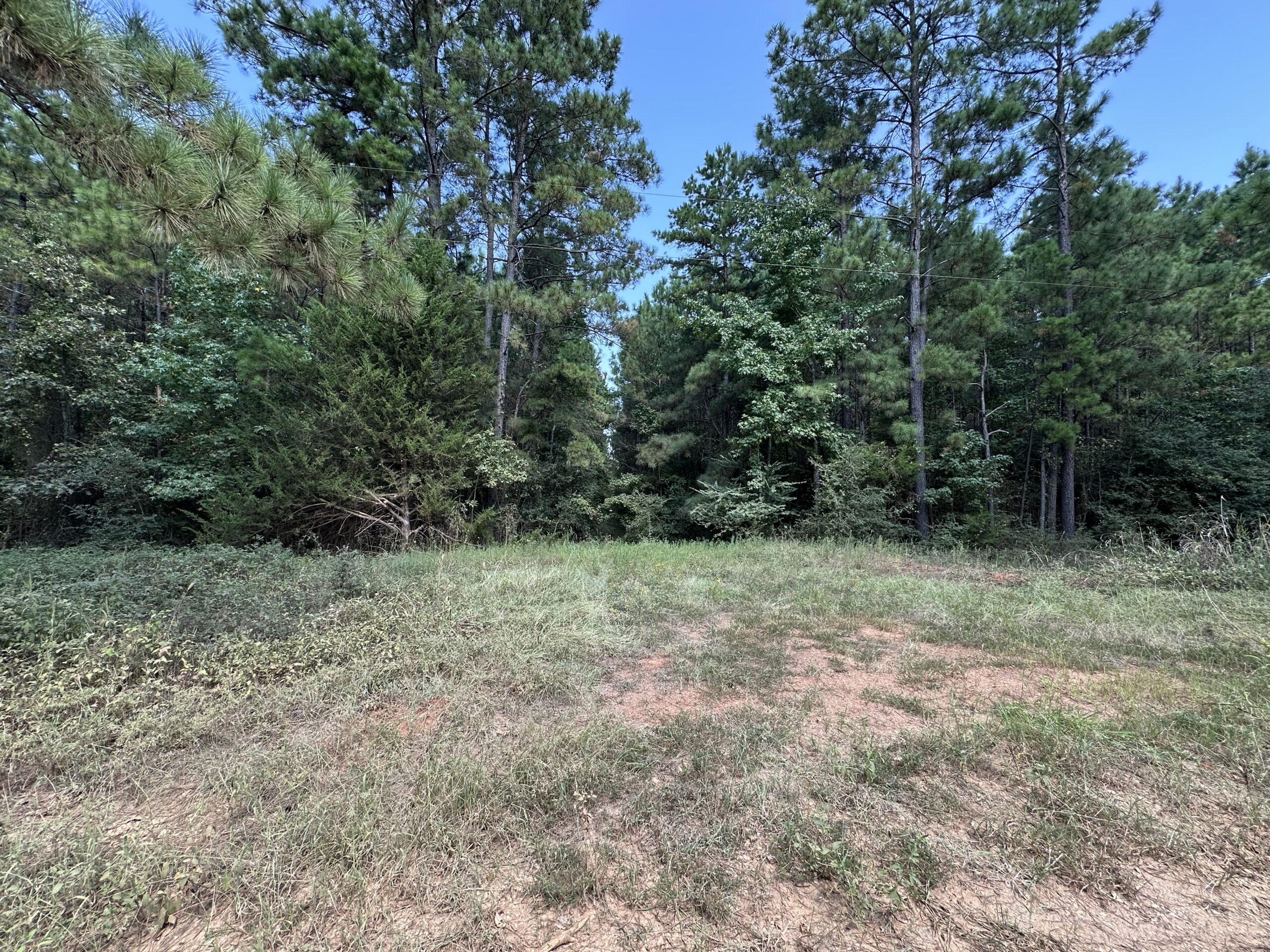 East Texas Hunting/Recreational/Timber Tract For Sale