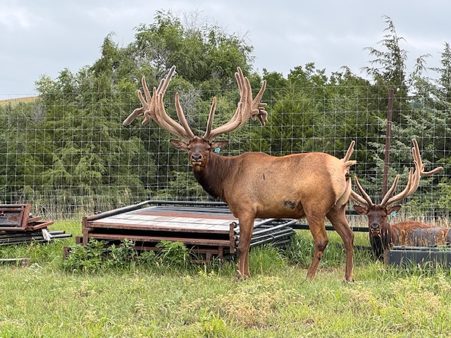 NEBRASKA MERIDIAN CANYON HUNTING & RANCH LAND