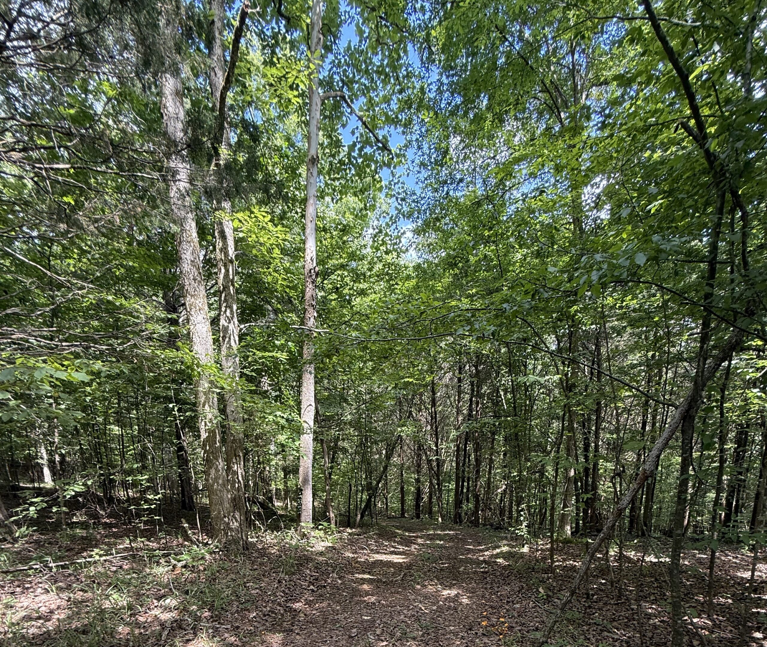DEER HUNTING PROPERTY FOR SALE IN TN