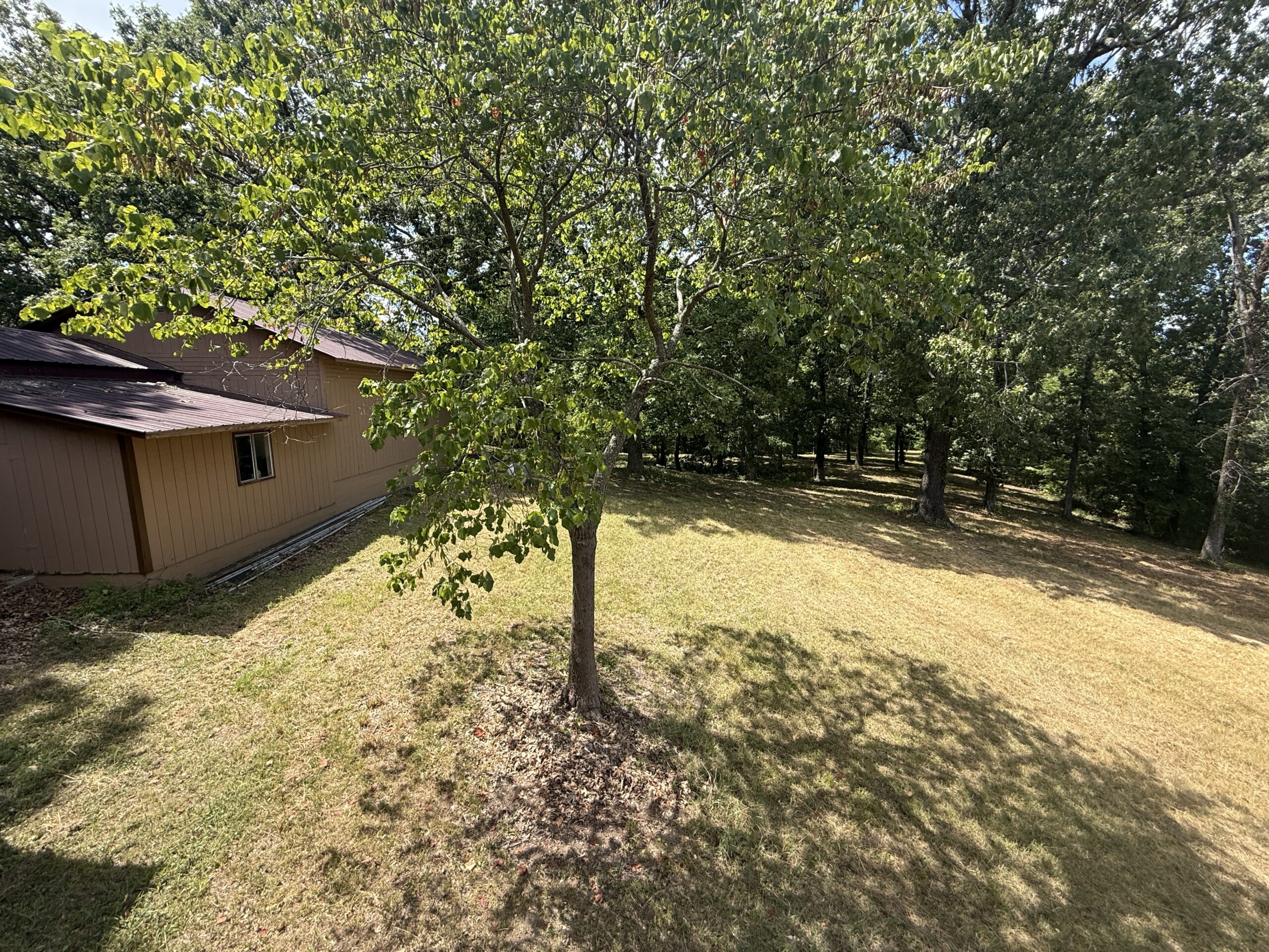 COUNTRY HOME AND HUNTING ACREAGE FOR SALE IN ARKANSAS OZARK MOUNTAINS