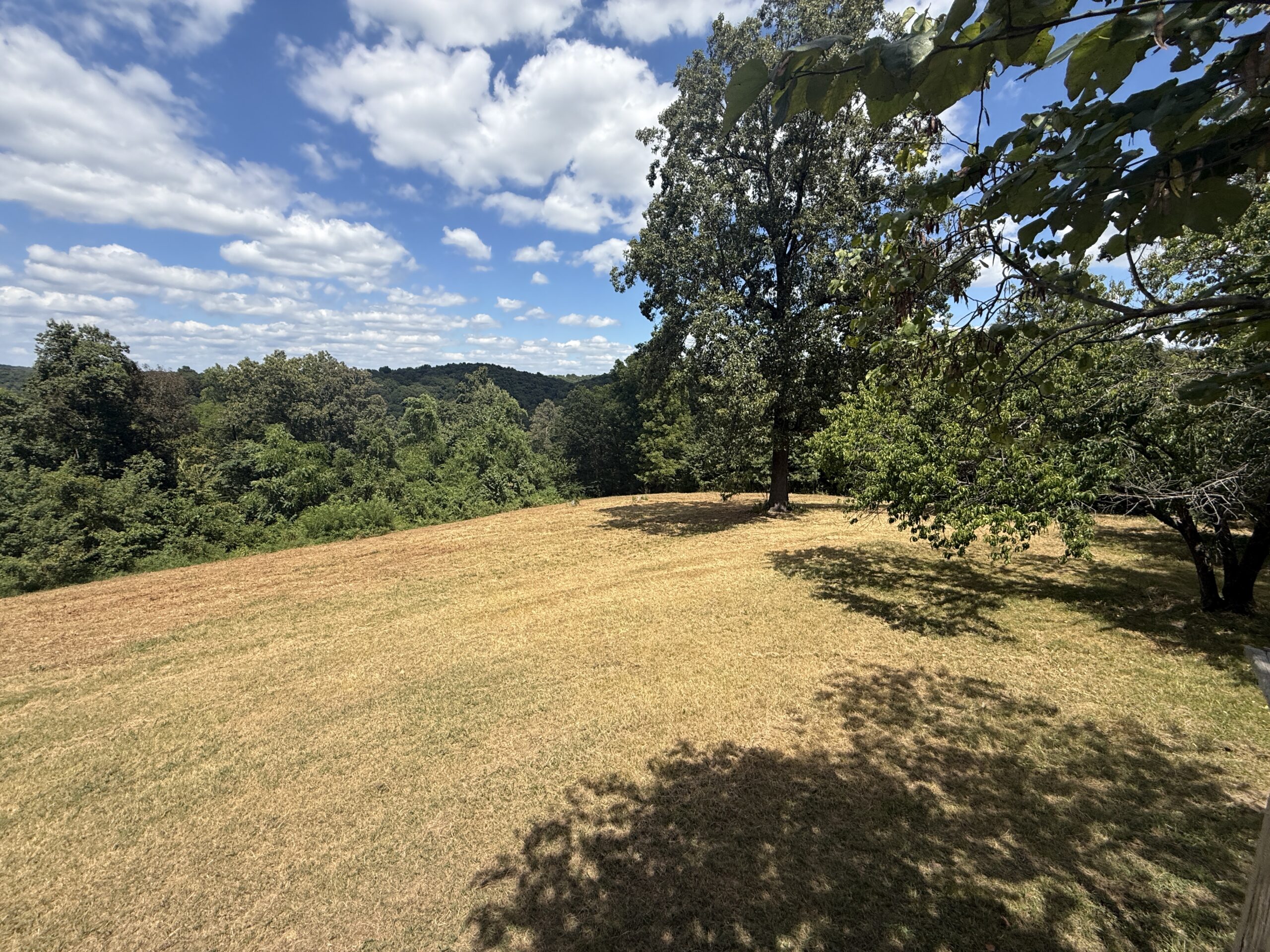 COUNTRY HOME AND HUNTING ACREAGE FOR SALE IN ARKANSAS OZARK MOUNTAINS