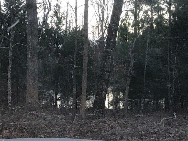 Prime Hunting & Recreational Property For Sale in Kingston AR