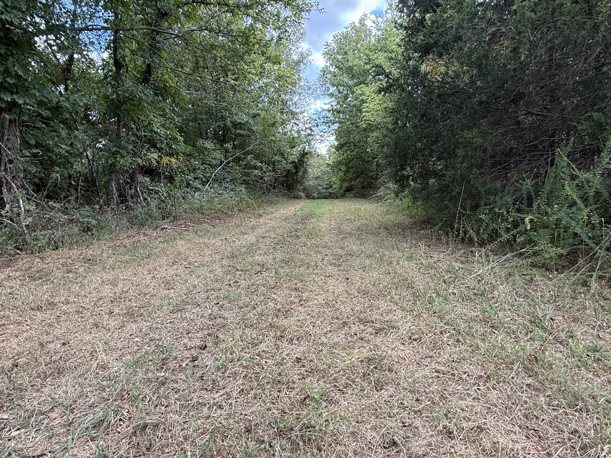 HUNTING AND RECREATIONAL LAND FOR SALE IN OZARK MOUNTAINS