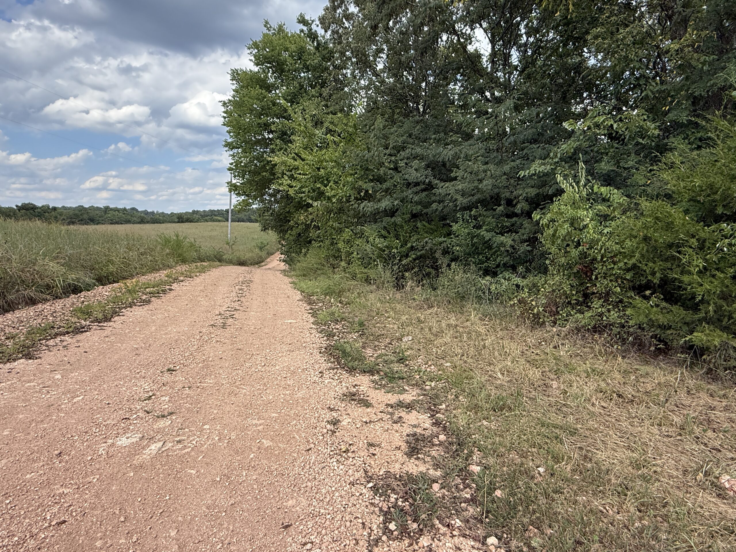 HUNTING AND RECREATIONAL LAND FOR SALE IN OZARK MOUNTAINS
