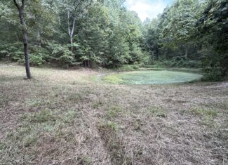 HUNTING AND RECREATIONAL LAND FOR SALE IN OZARK MOUNTAINS