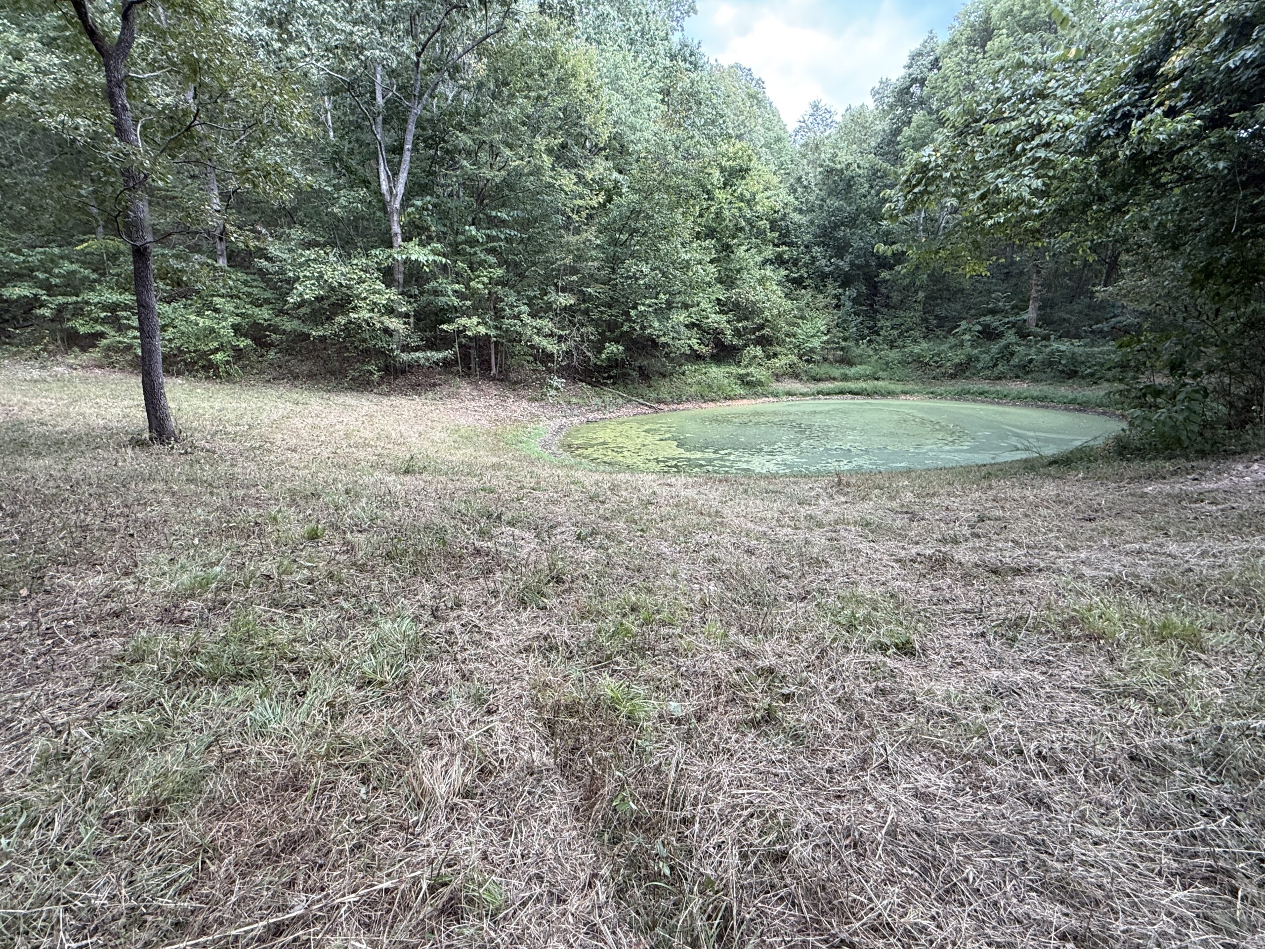 HUNTING AND RECREATIONAL LAND FOR SALE IN OZARK MOUNTAINS