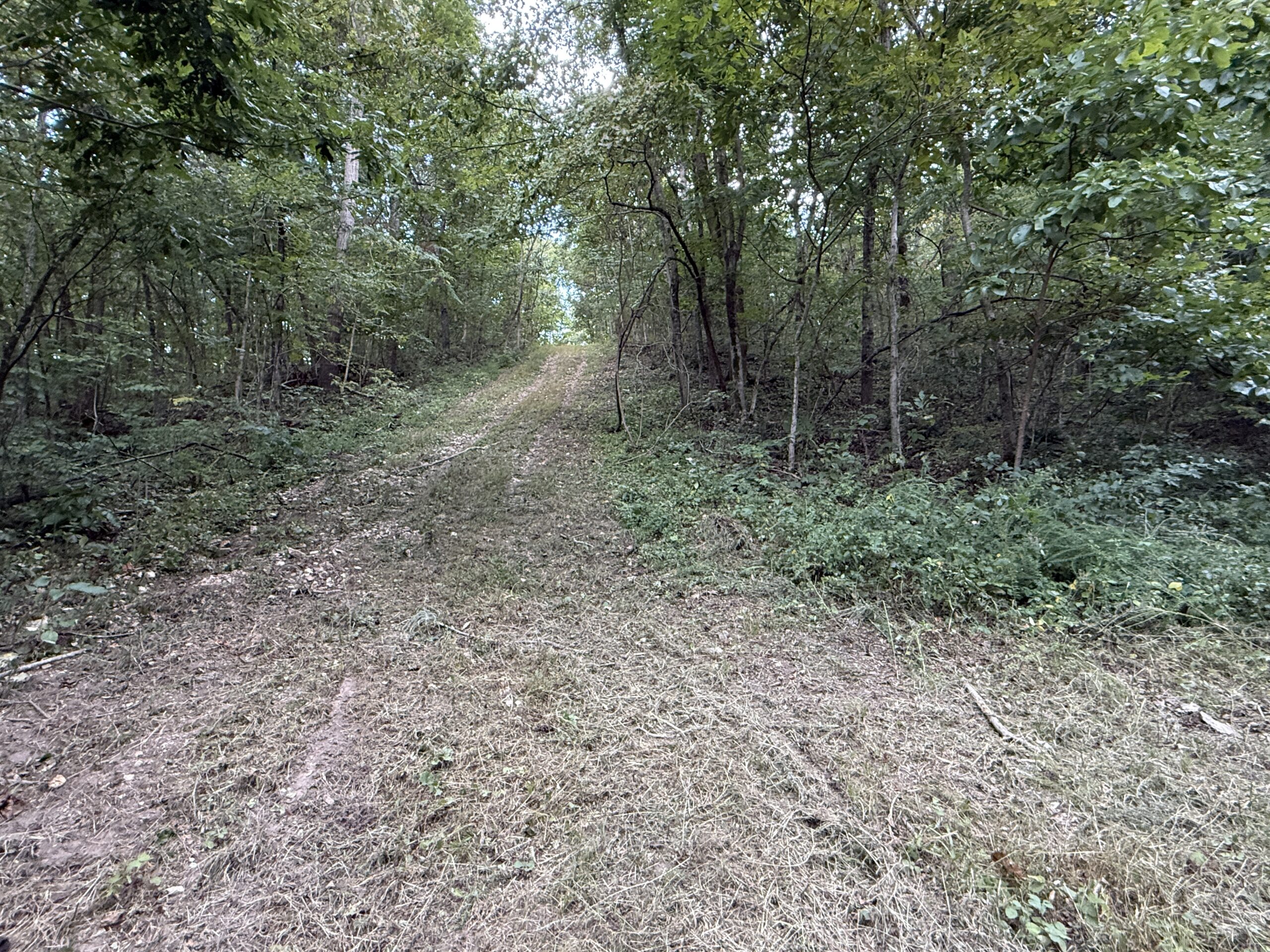 HUNTING AND RECREATIONAL LAND FOR SALE IN OZARK MOUNTAINS
