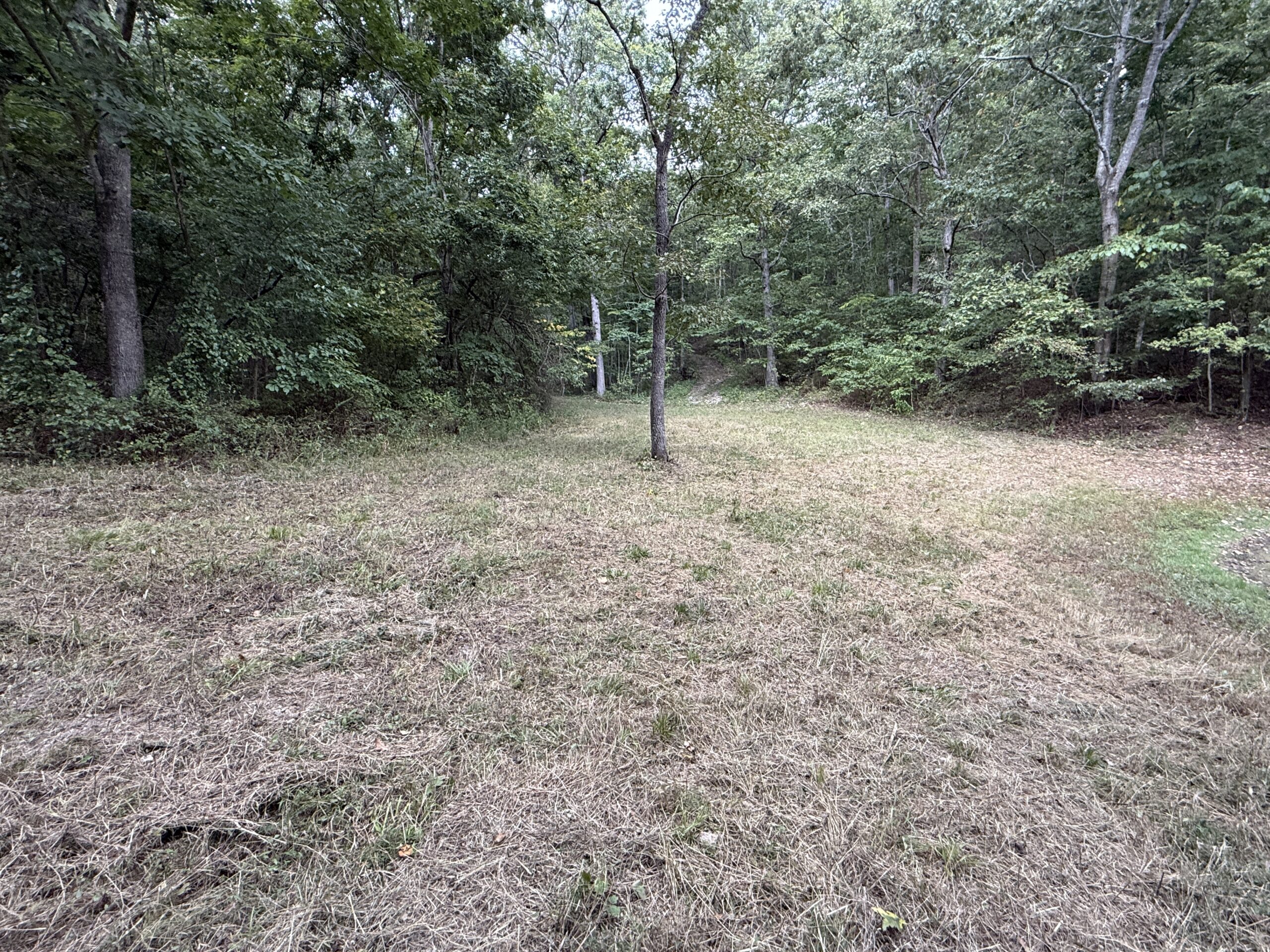 HUNTING AND RECREATIONAL LAND FOR SALE IN OZARK MOUNTAINS