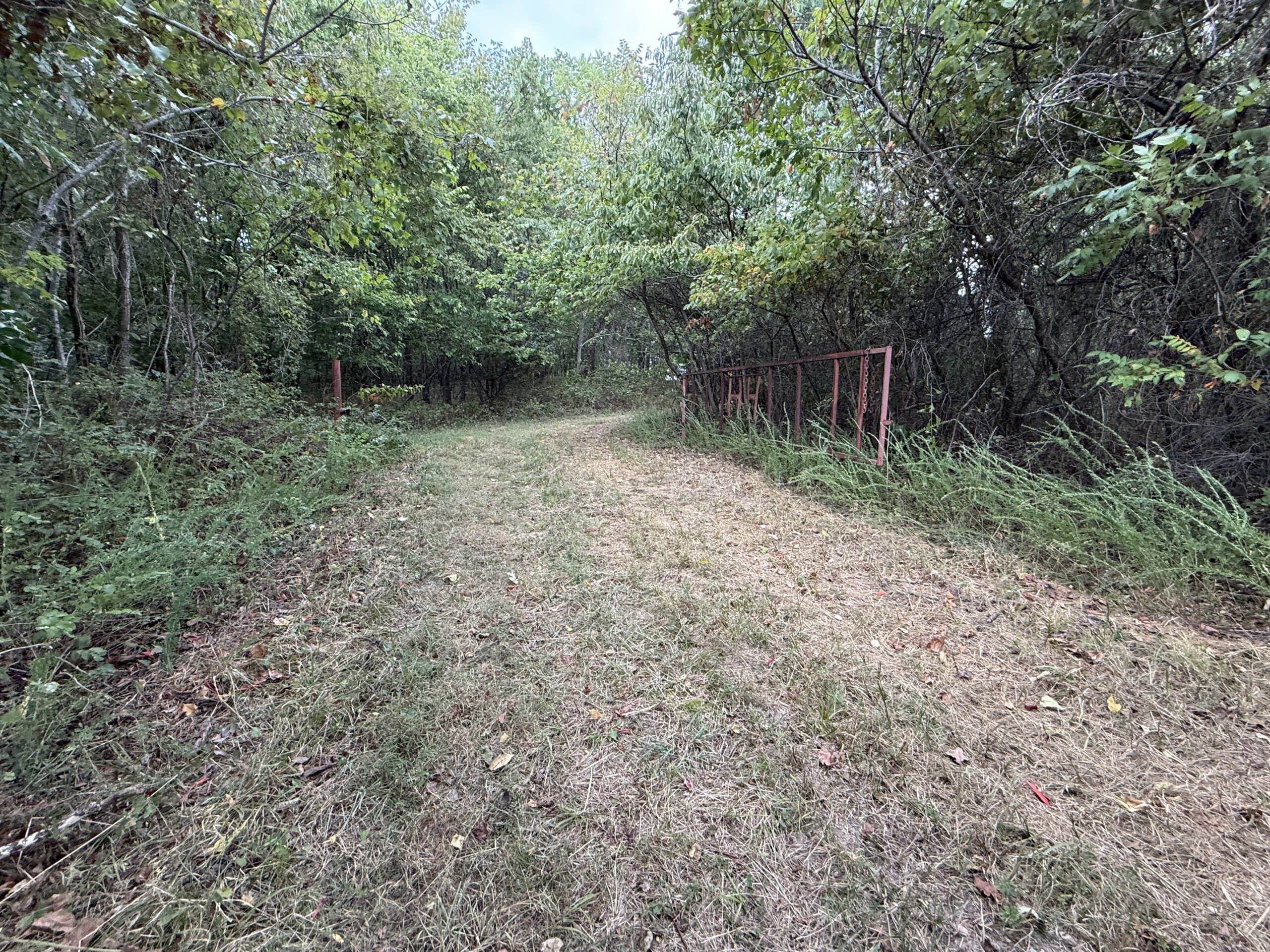 HUNTING AND RECREATIONAL LAND FOR SALE IN OZARK MOUNTAINS