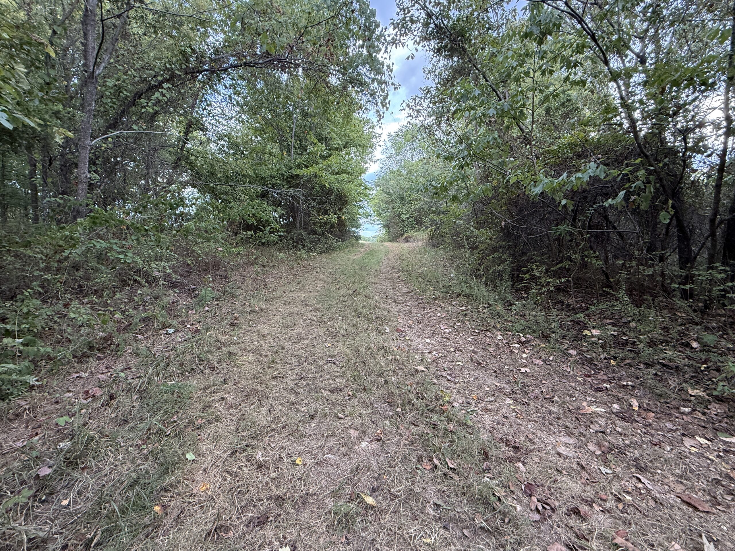 HUNTING AND RECREATIONAL LAND FOR SALE IN OZARK MOUNTAINS