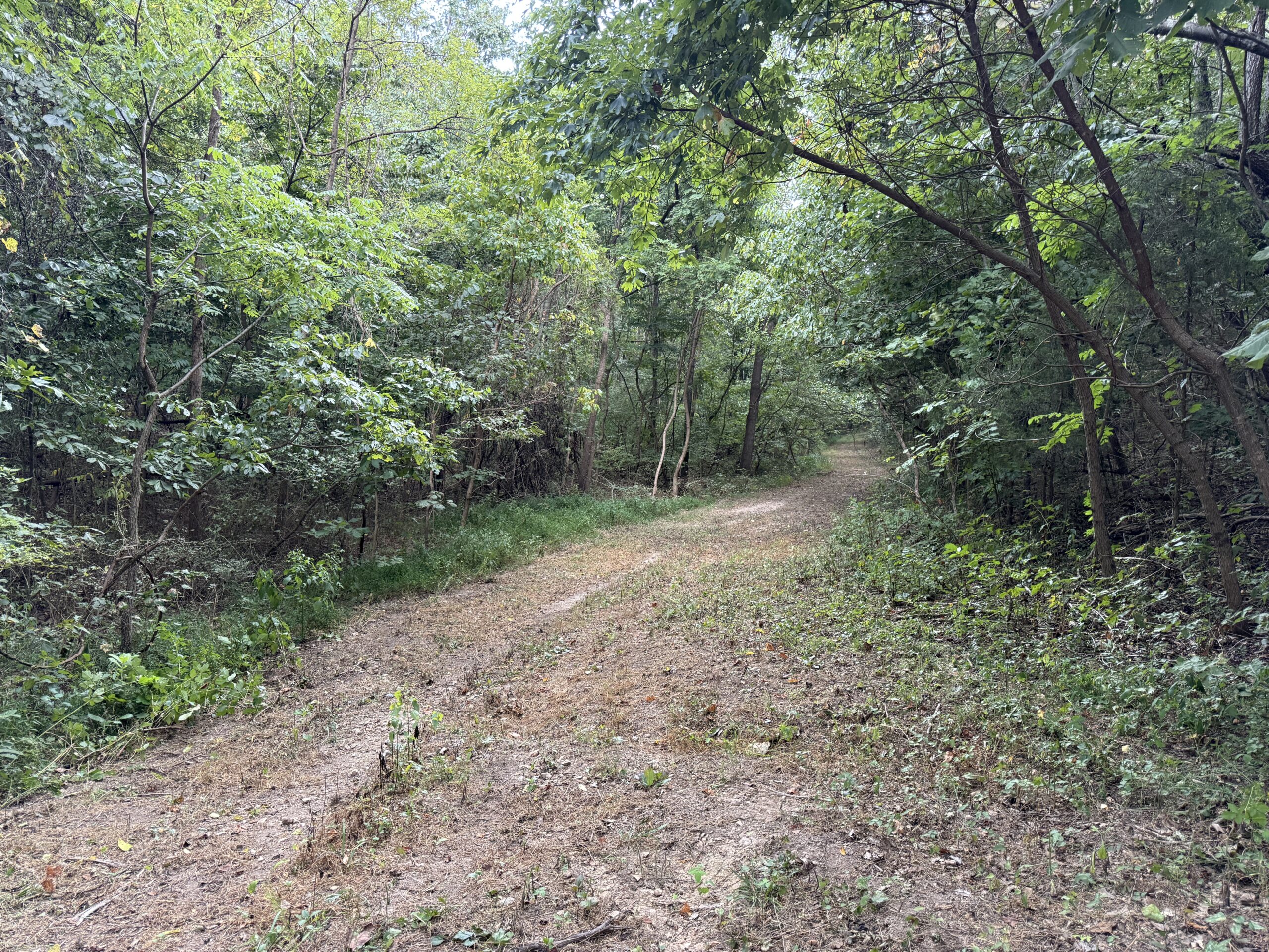 HUNTING AND RECREATIONAL LAND FOR SALE IN OZARK MOUNTAINS
