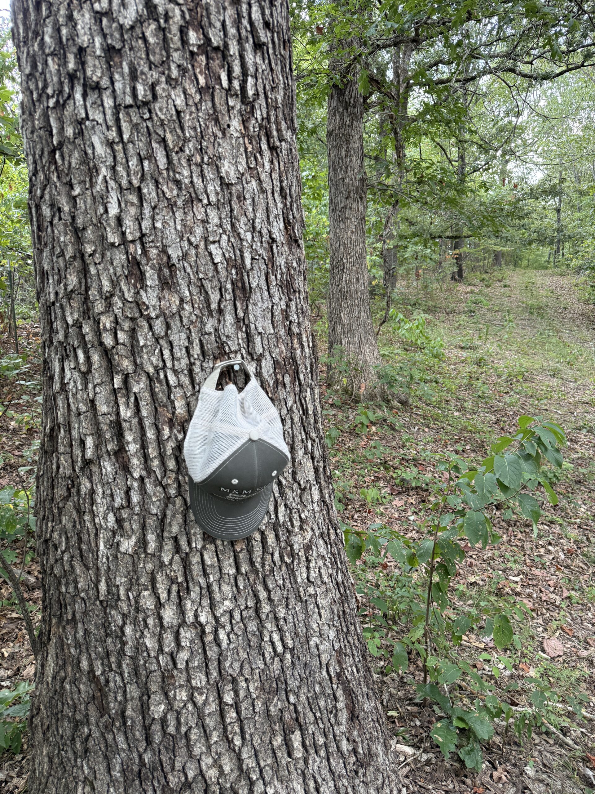 HUNTING AND RECREATIONAL LAND FOR SALE IN OZARK MOUNTAINS