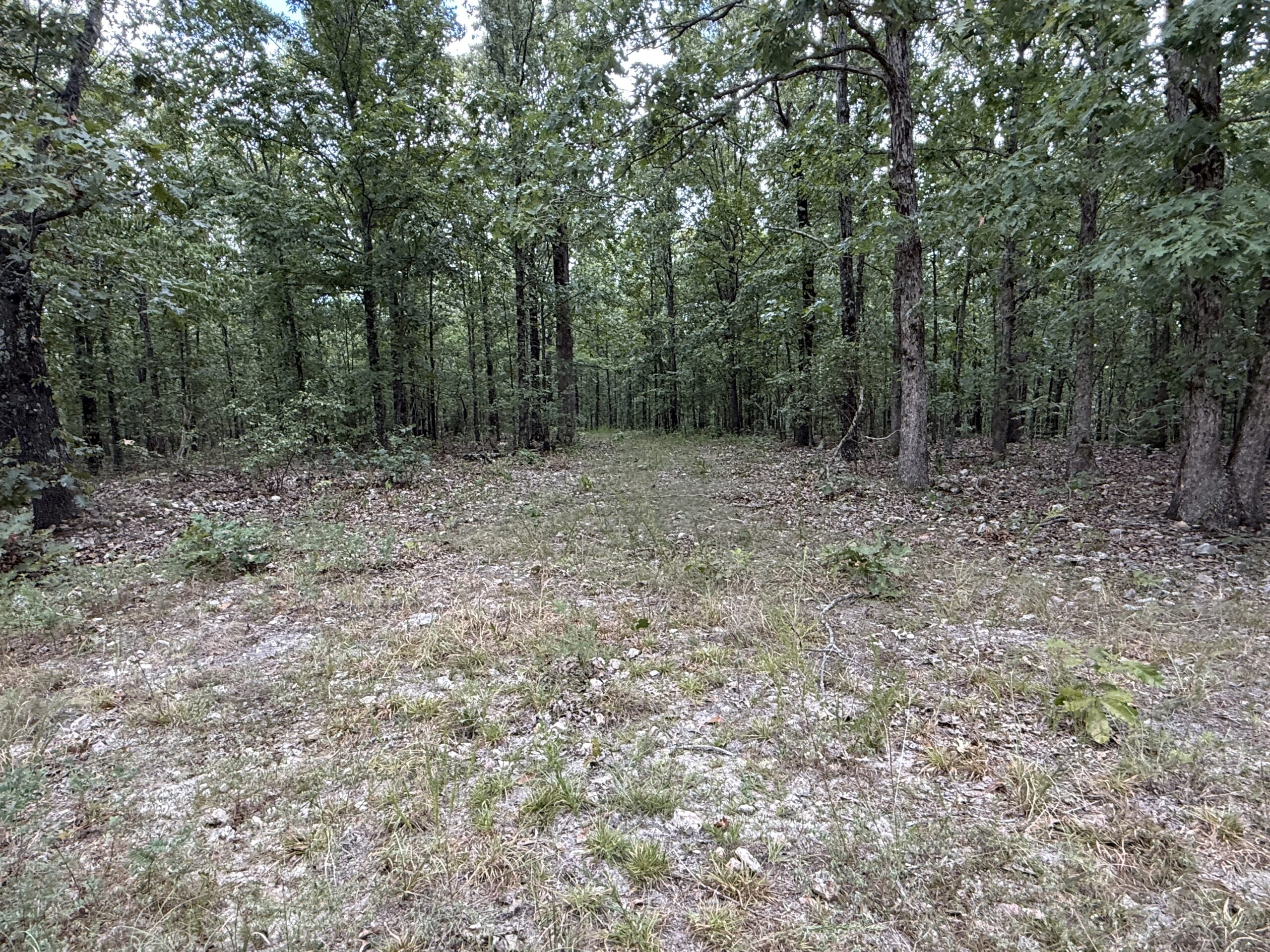 HUNTING AND RECREATIONAL LAND FOR SALE IN OZARK MOUNTAINS
