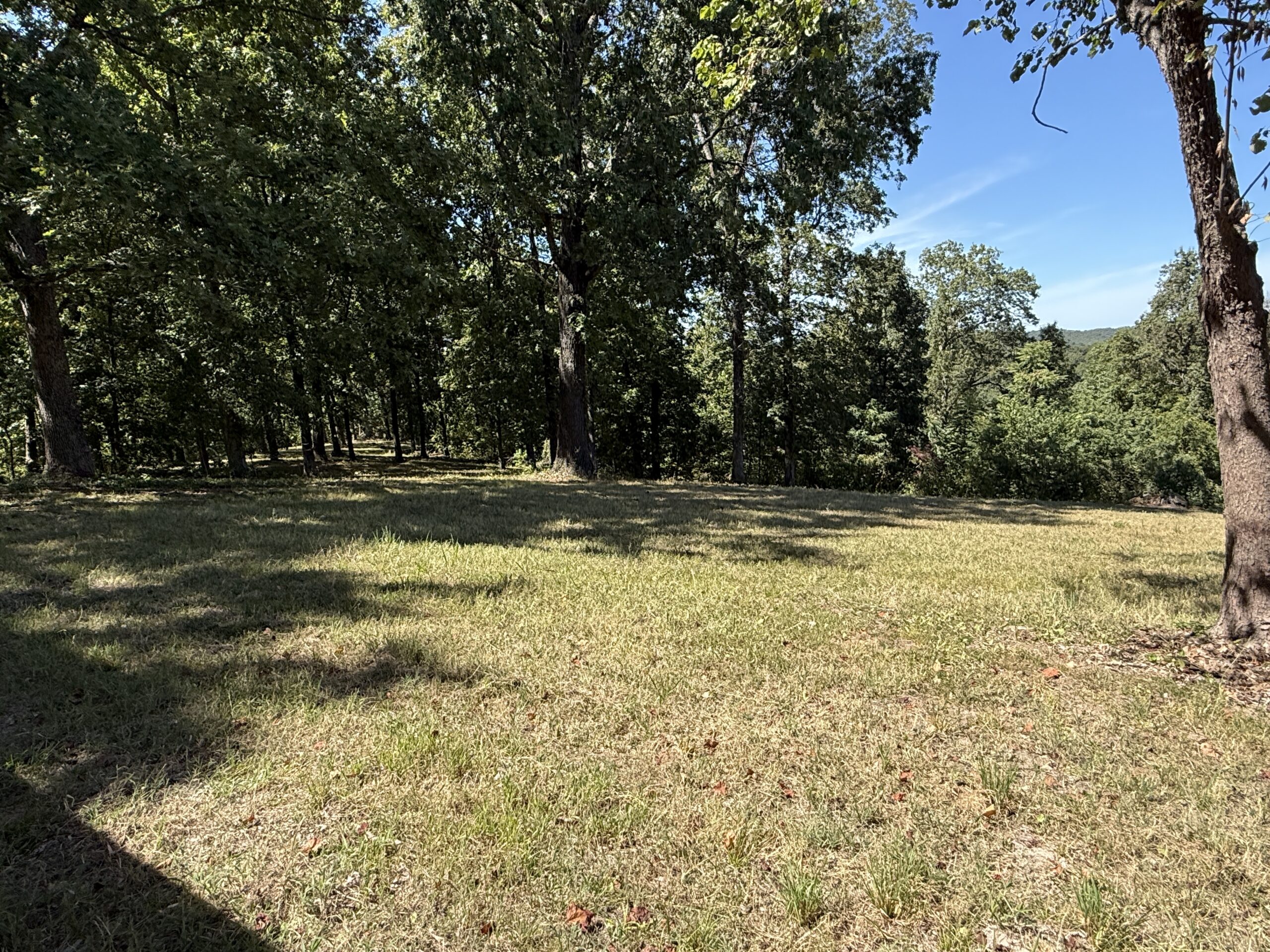 COUNTRY HOME AND HUNTING ACREAGE FOR SALE IN ARKANSAS OZARK MOUNTAINS