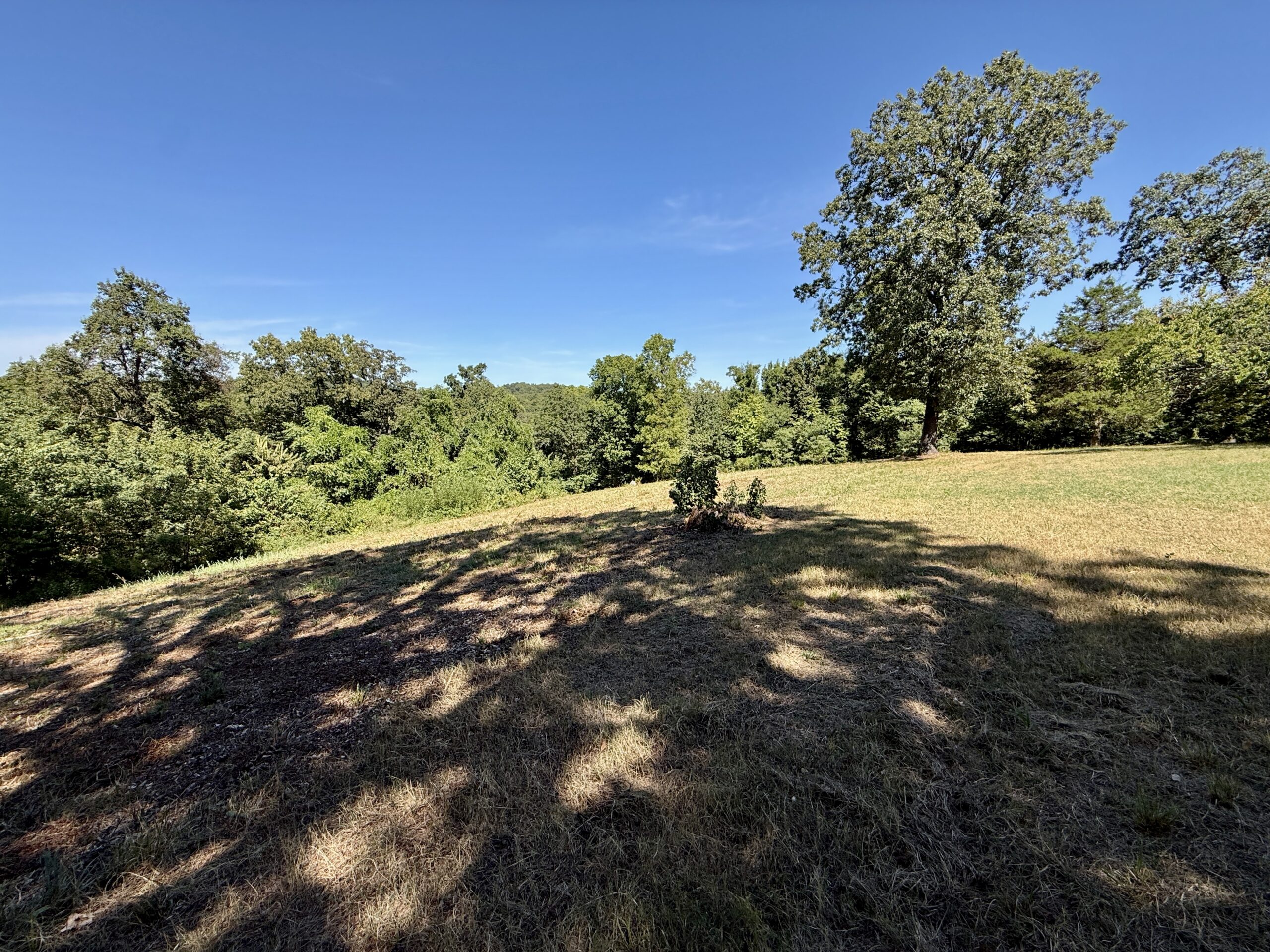 COUNTRY HOME AND HUNTING ACREAGE FOR SALE IN ARKANSAS OZARK MOUNTAINS