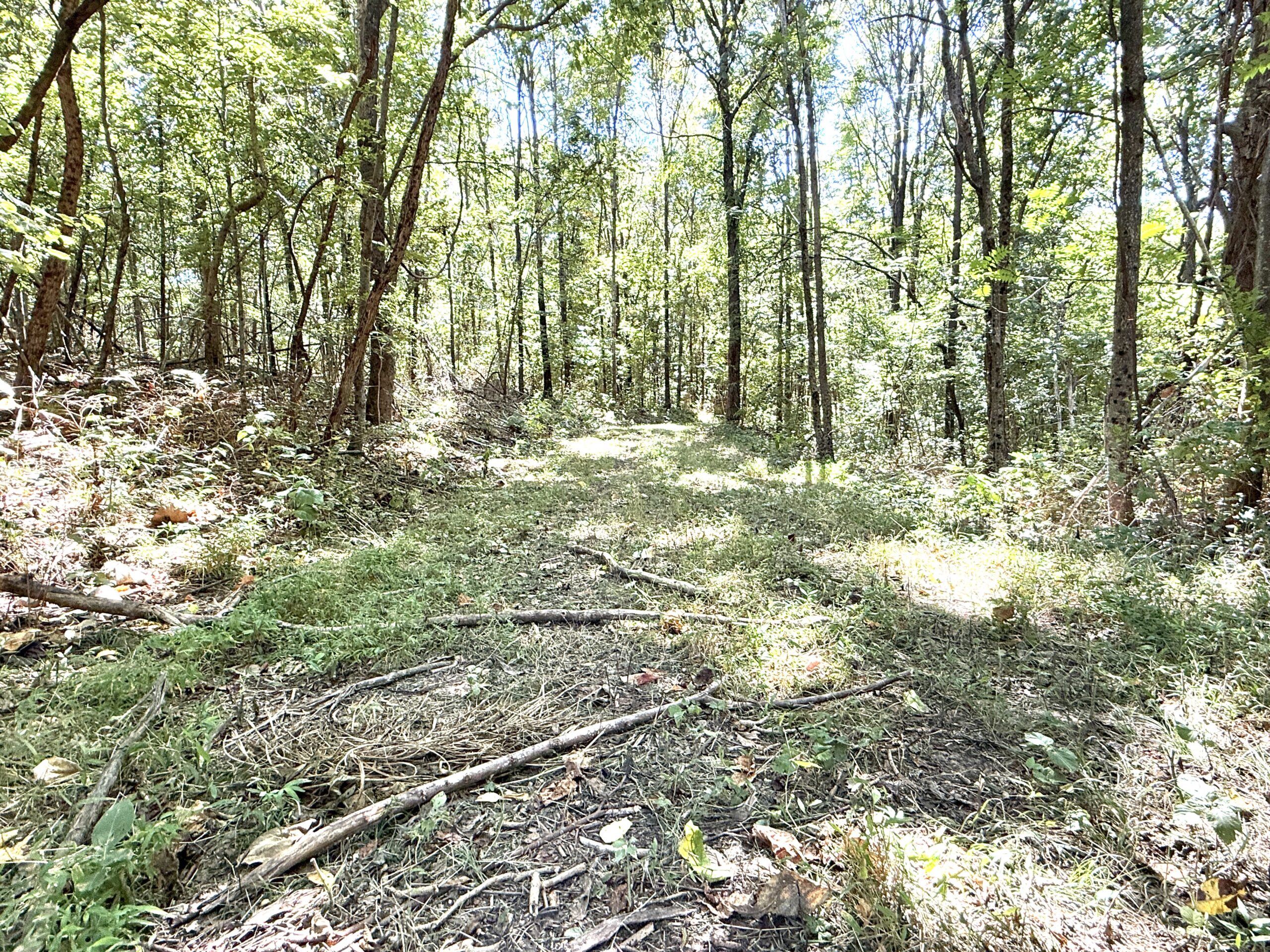 COUNTRY HOME AND HUNTING ACREAGE FOR SALE IN ARKANSAS OZARK MOUNTAINS