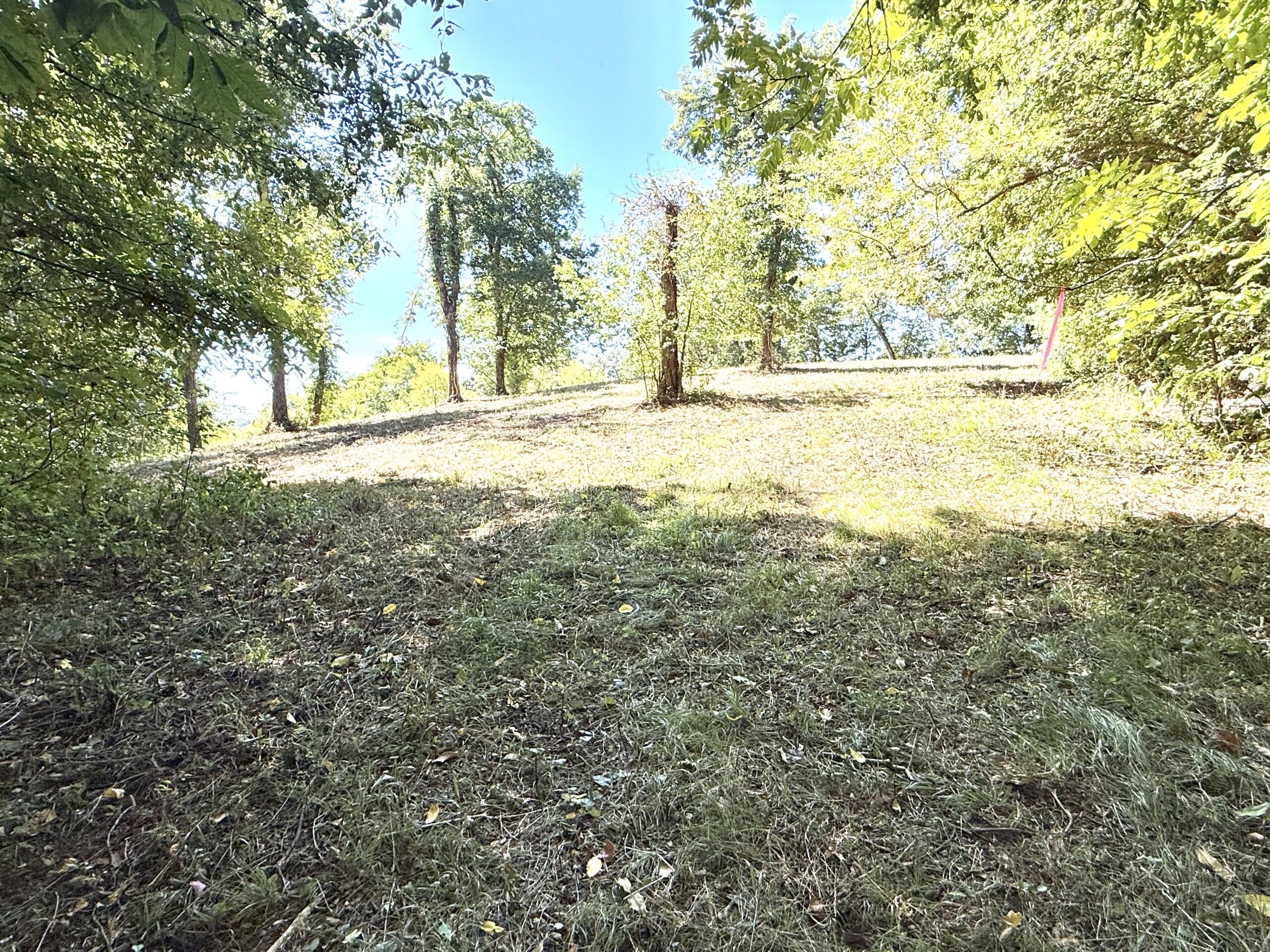 COUNTRY HOME AND HUNTING ACREAGE FOR SALE IN ARKANSAS OZARK MOUNTAINS