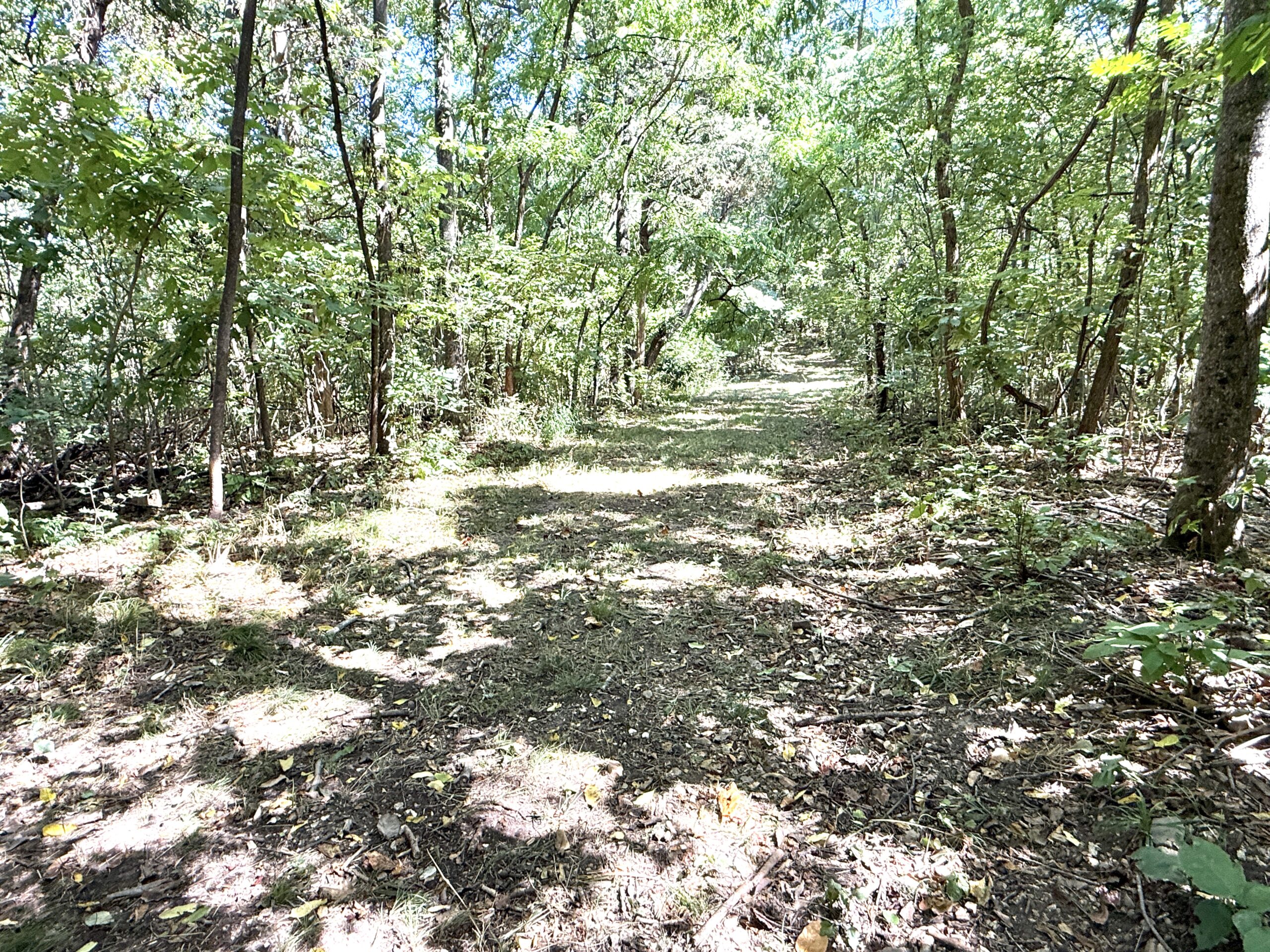 COUNTRY HOME AND HUNTING ACREAGE FOR SALE IN ARKANSAS OZARK MOUNTAINS