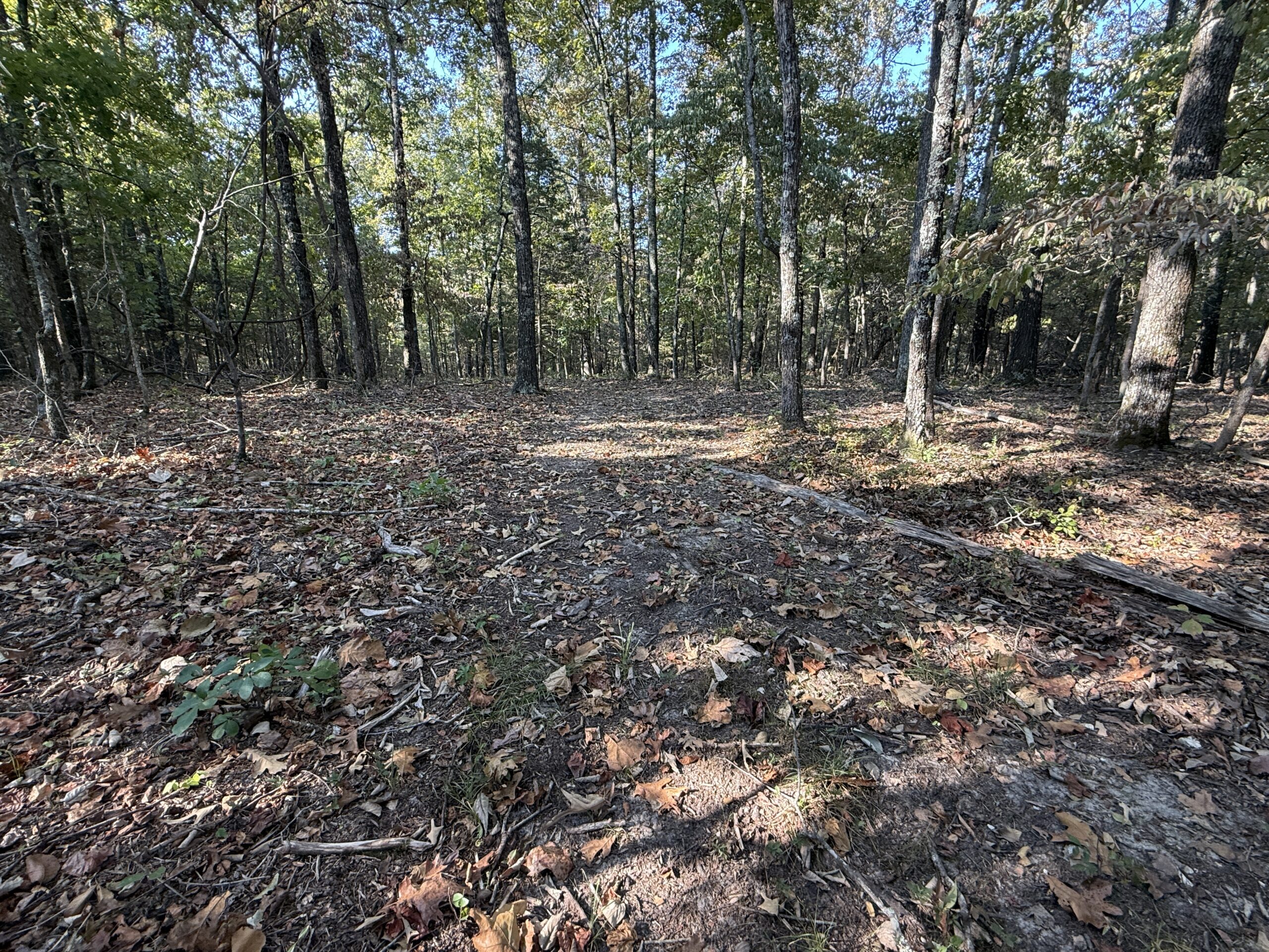 HUNTING AND RECREATIONAL LAND FOR SALE IN NORTH CENTRAL ARKANSAS