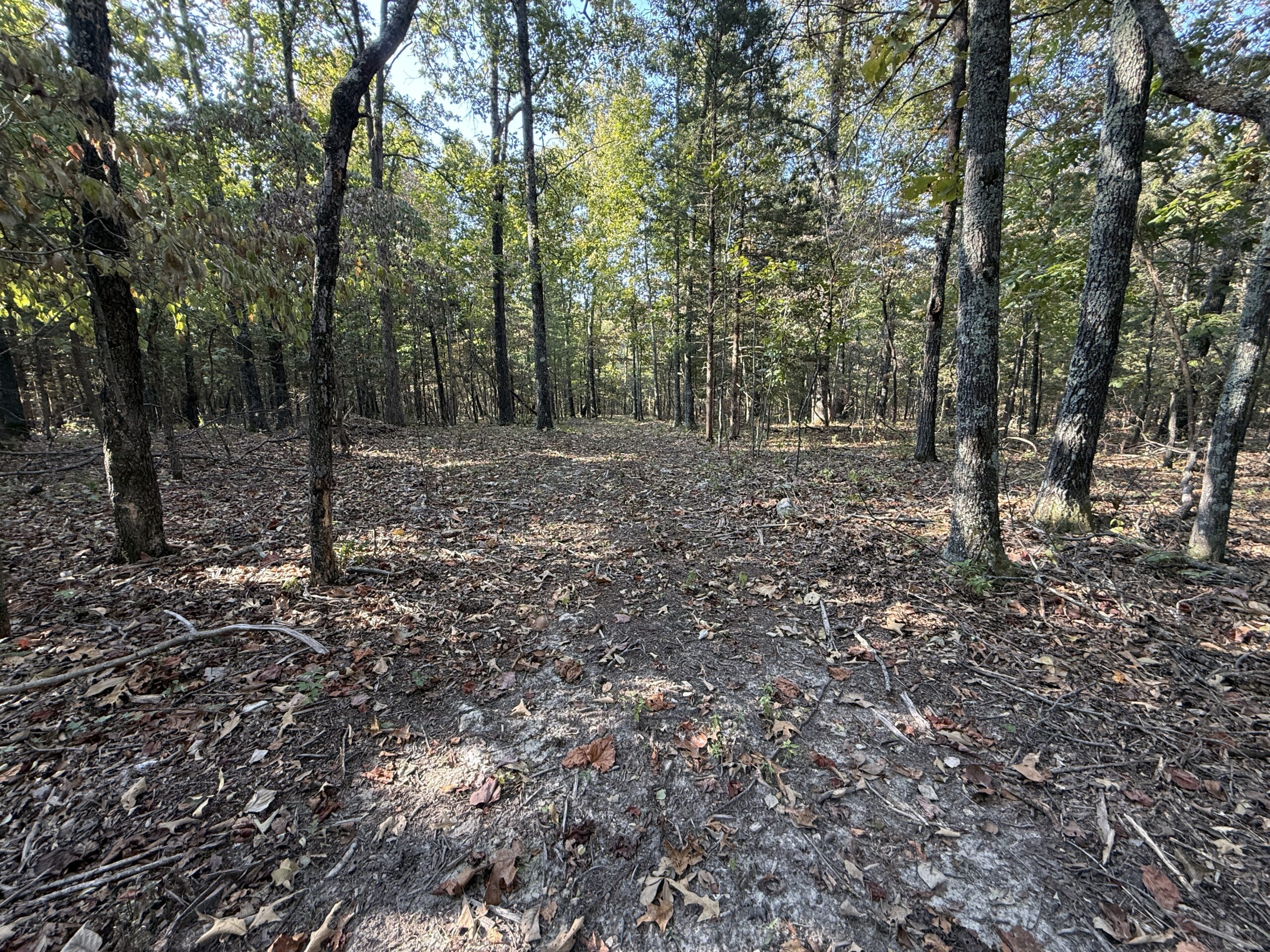 HUNTING AND RECREATIONAL LAND FOR SALE IN NORTH CENTRAL ARKANSAS
