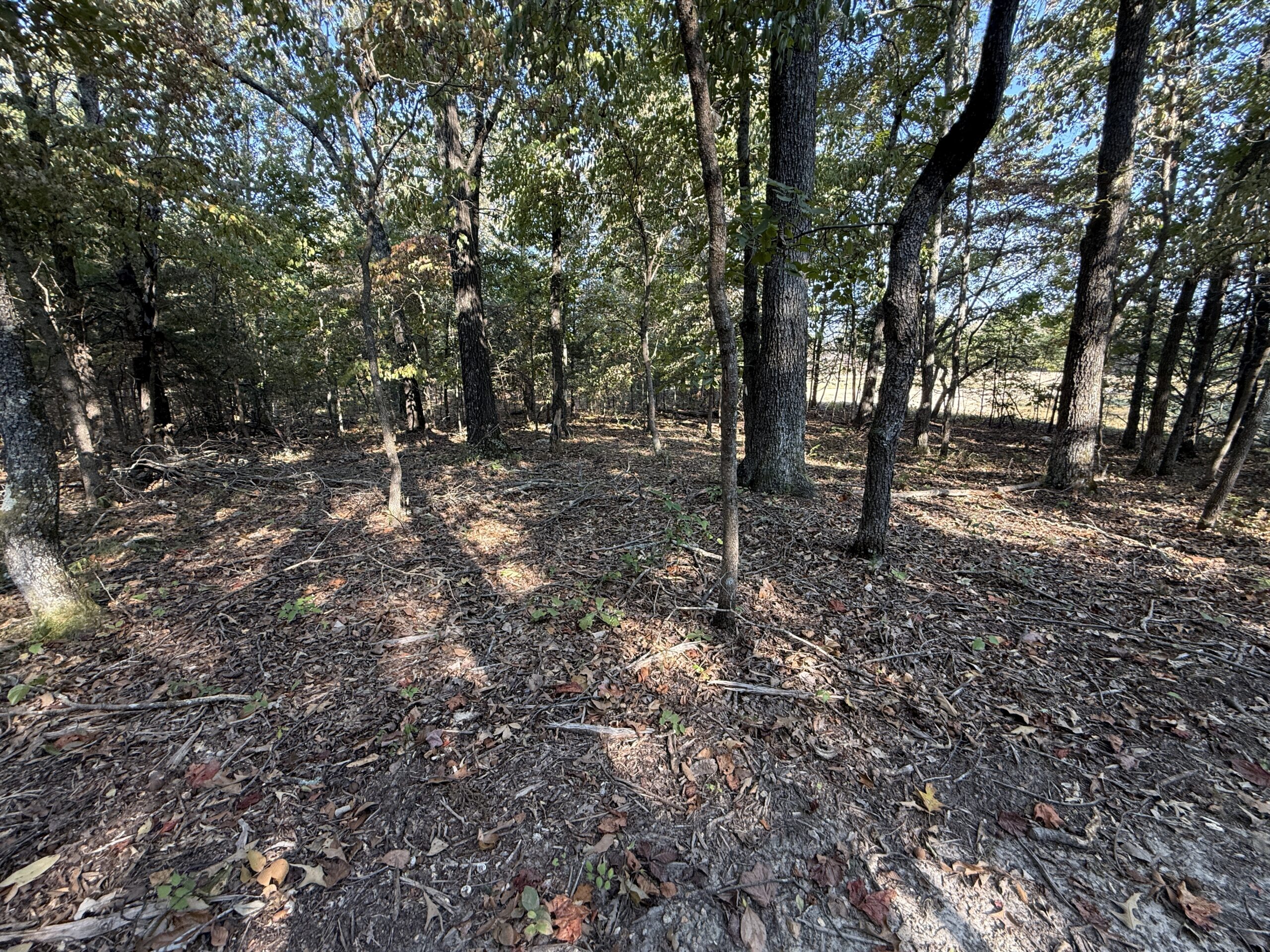 HUNTING AND RECREATIONAL LAND FOR SALE IN NORTH CENTRAL ARKANSAS