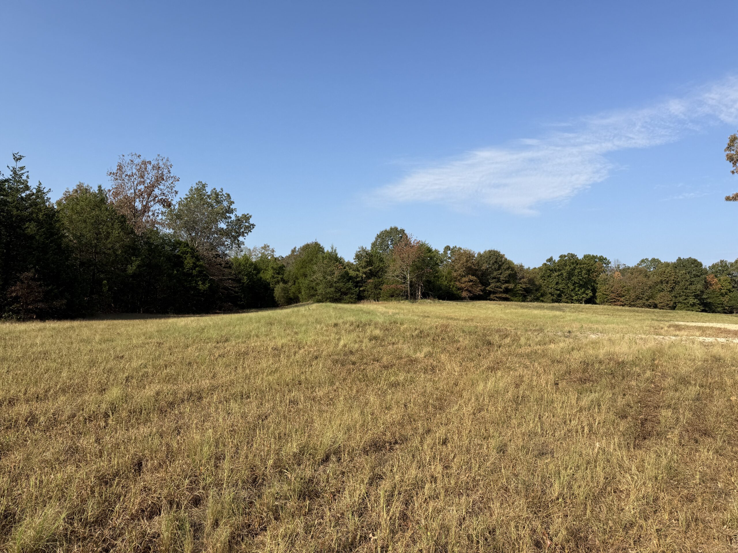 HUNTING AND RECREATIONAL LAND FOR SALE IN NORTH CENTRAL ARKANSAS