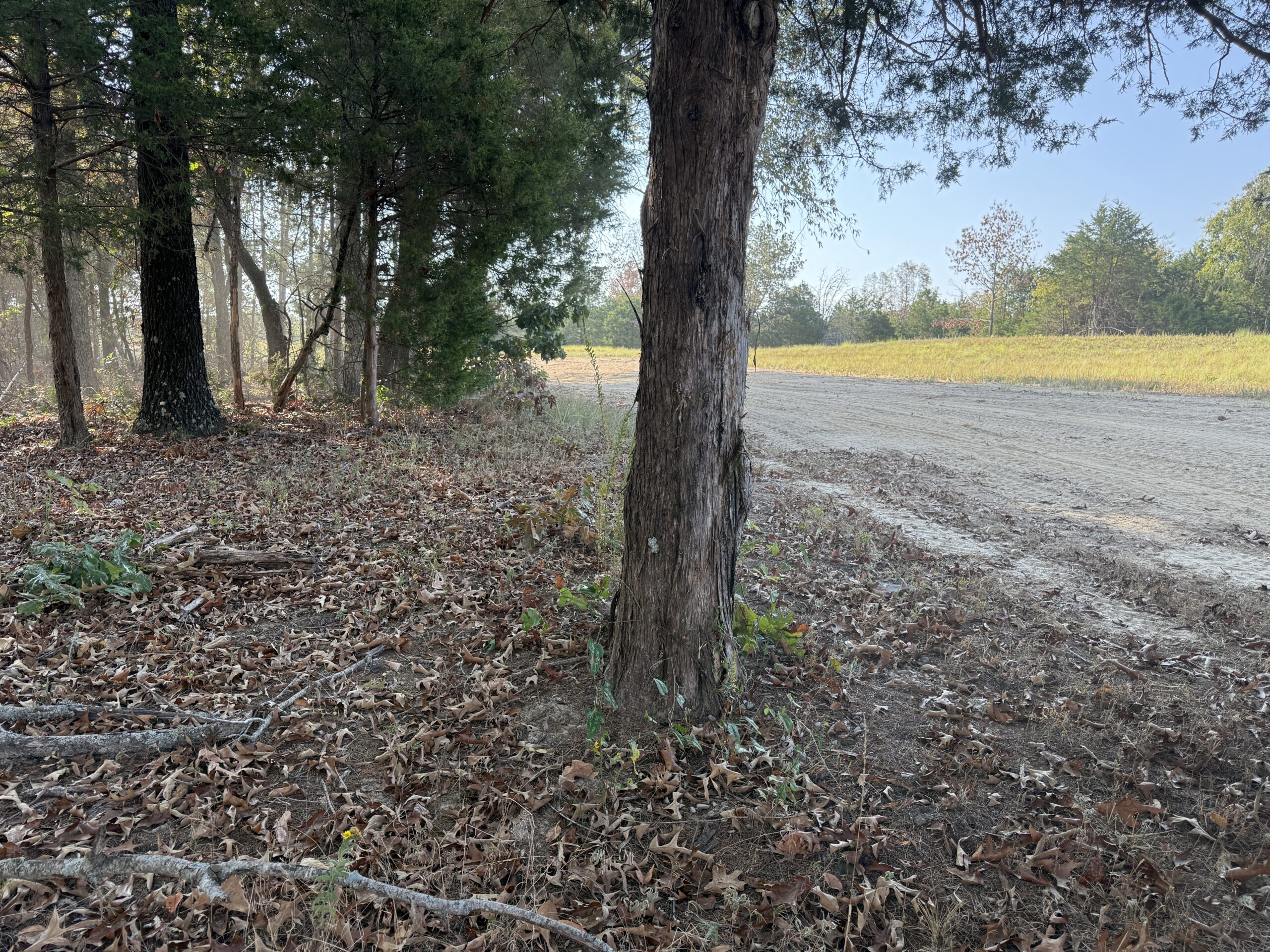 HUNTING AND RECREATIONAL LAND FOR SALE IN NORTH CENTRAL ARKANSAS