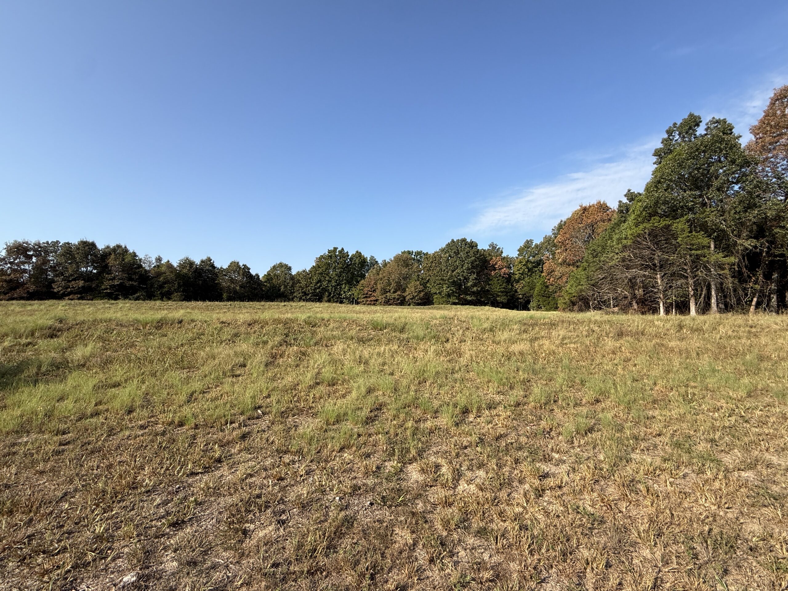 HUNTING AND RECREATIONAL LAND FOR SALE IN NORTH CENTRAL ARKANSAS