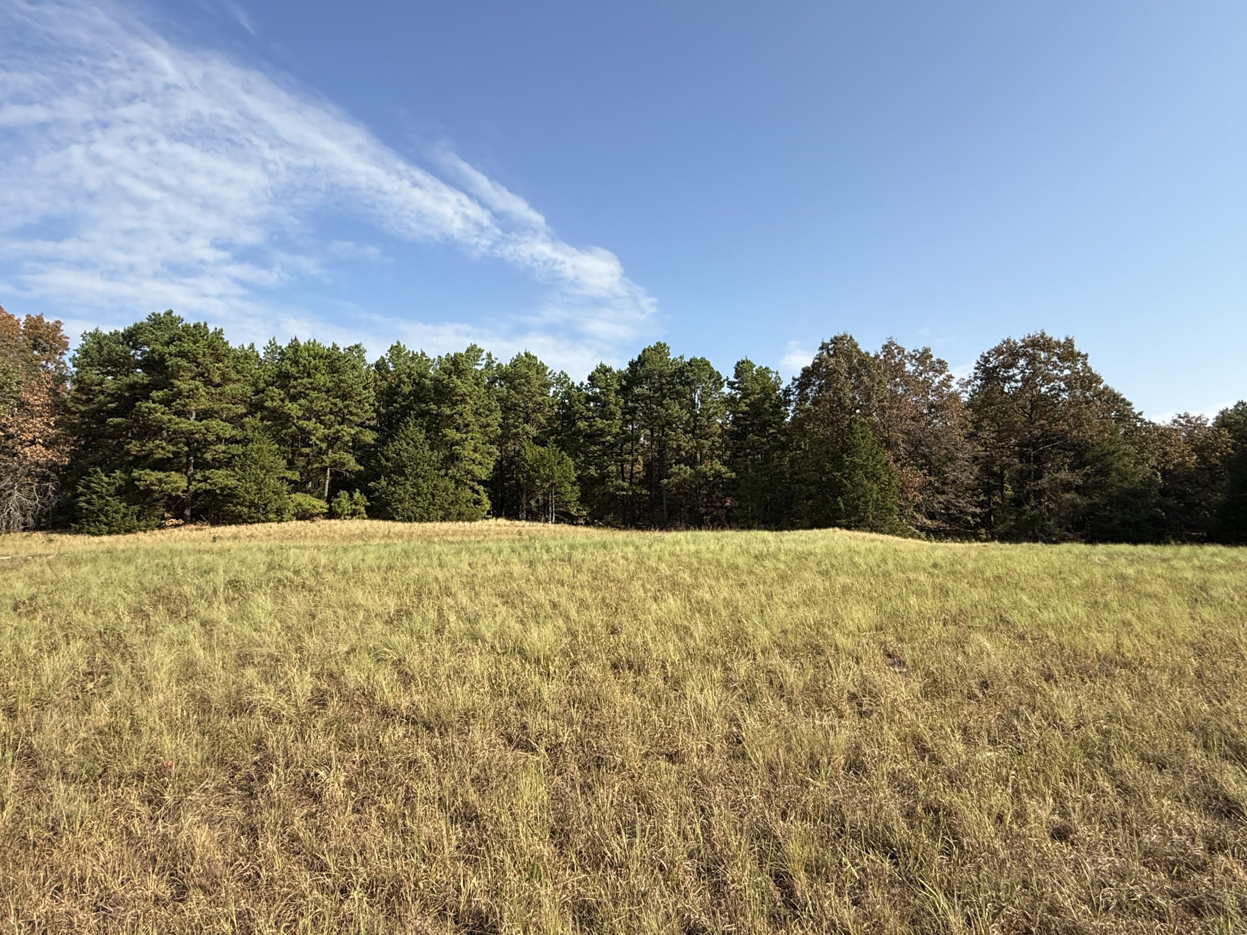 HUNTING AND RECREATIONAL LAND FOR SALE IN NORTH CENTRAL ARKANSAS